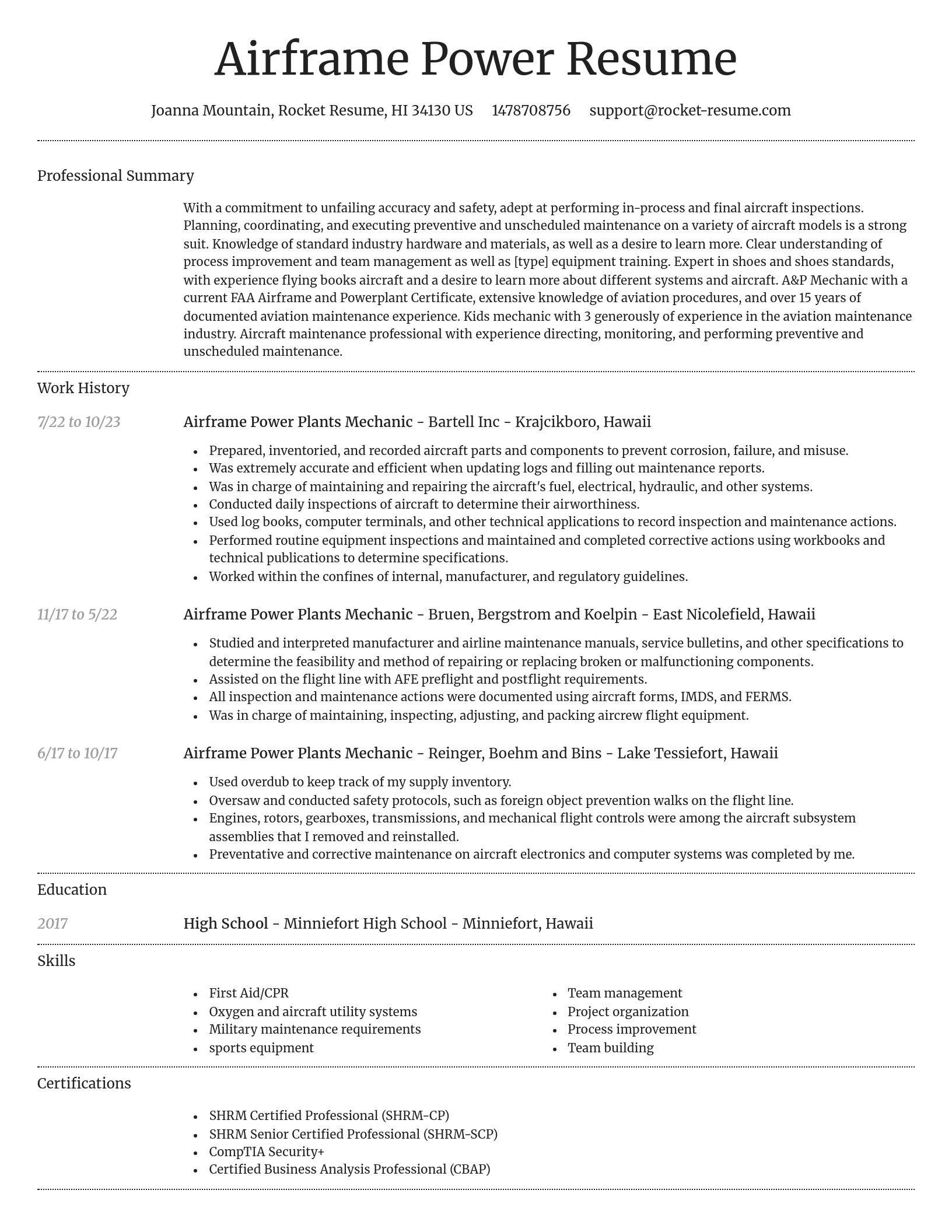 Dignified resume template