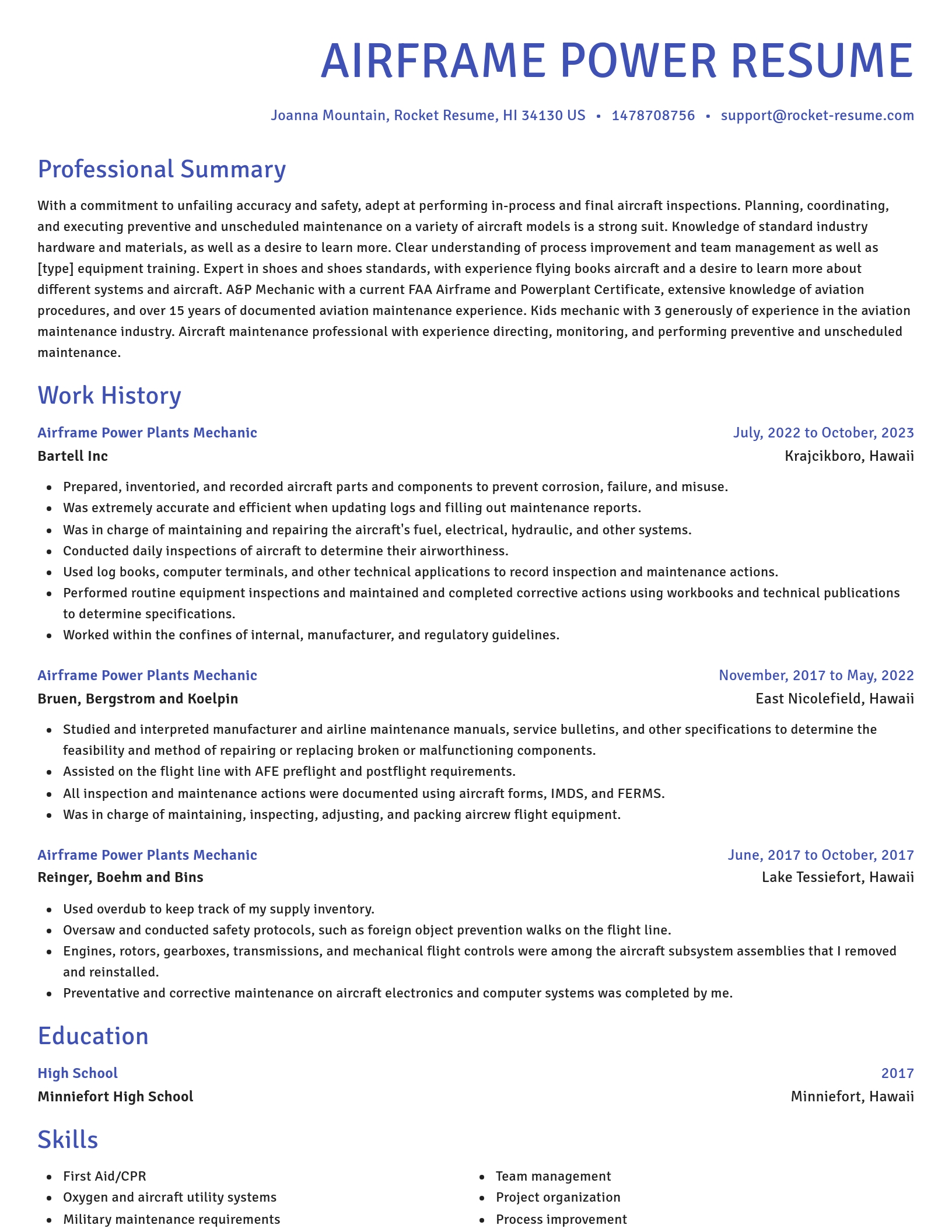 Novel resume template