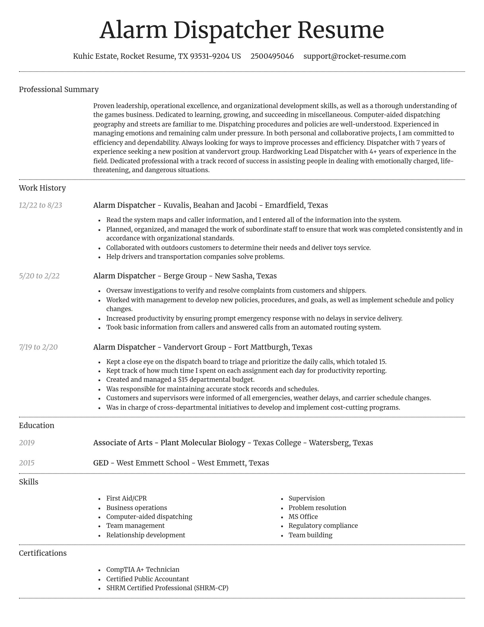 Dignified resume template