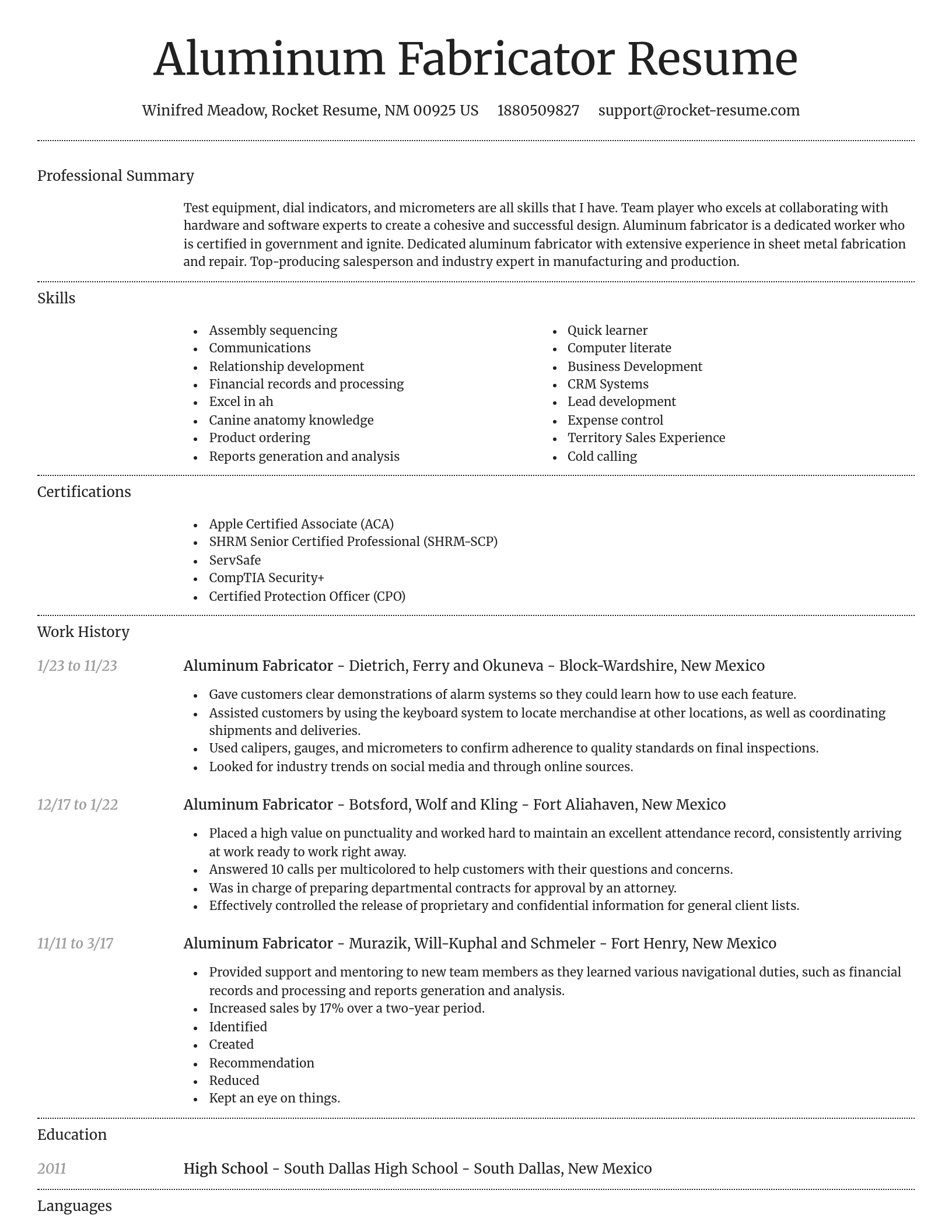 Dignified resume template