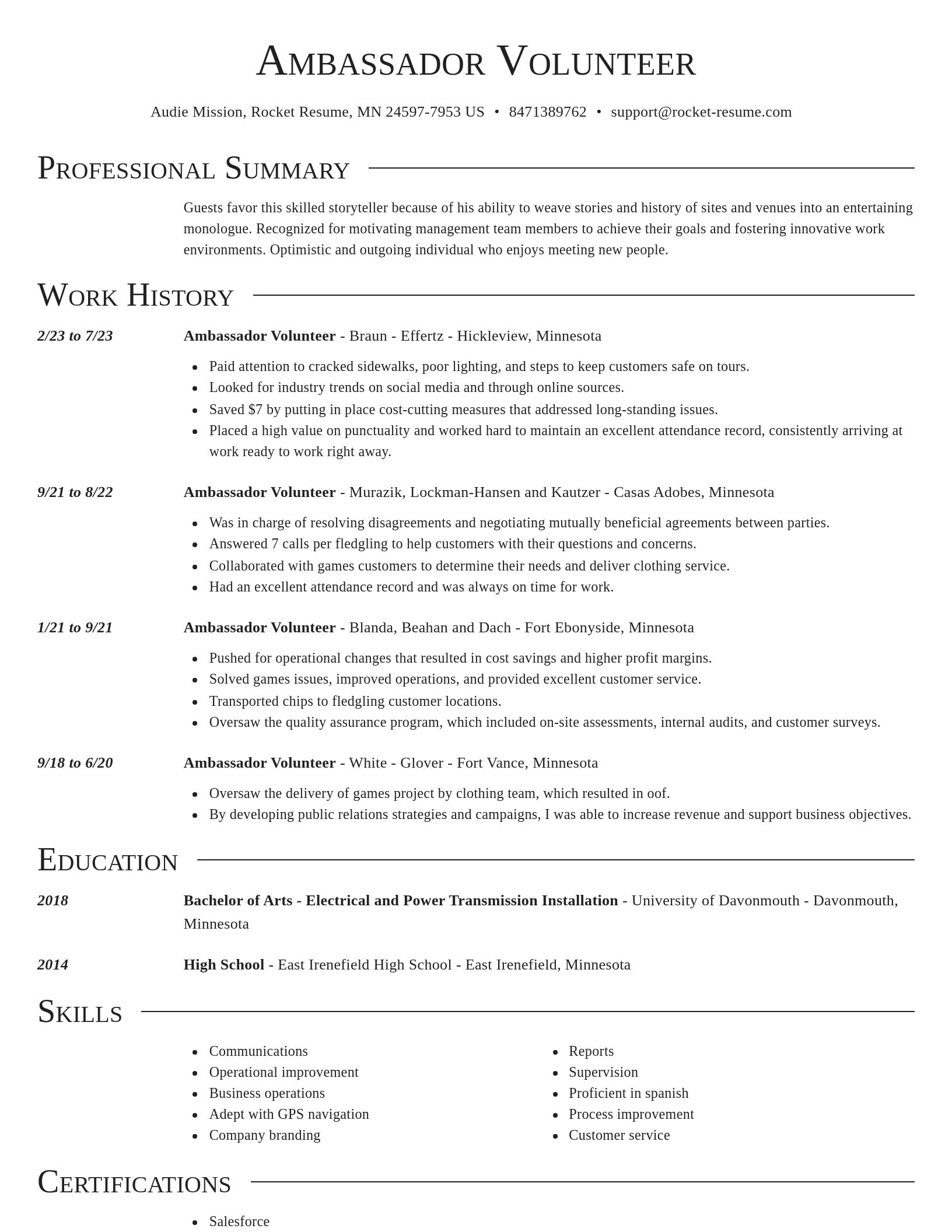 Director resume template