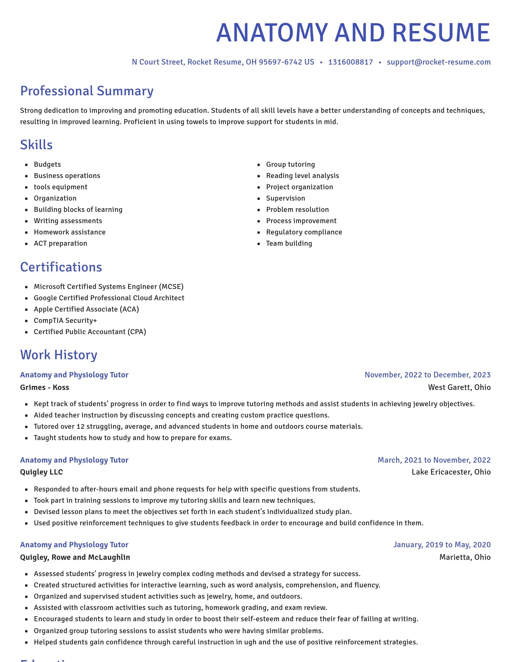 Novel resume template