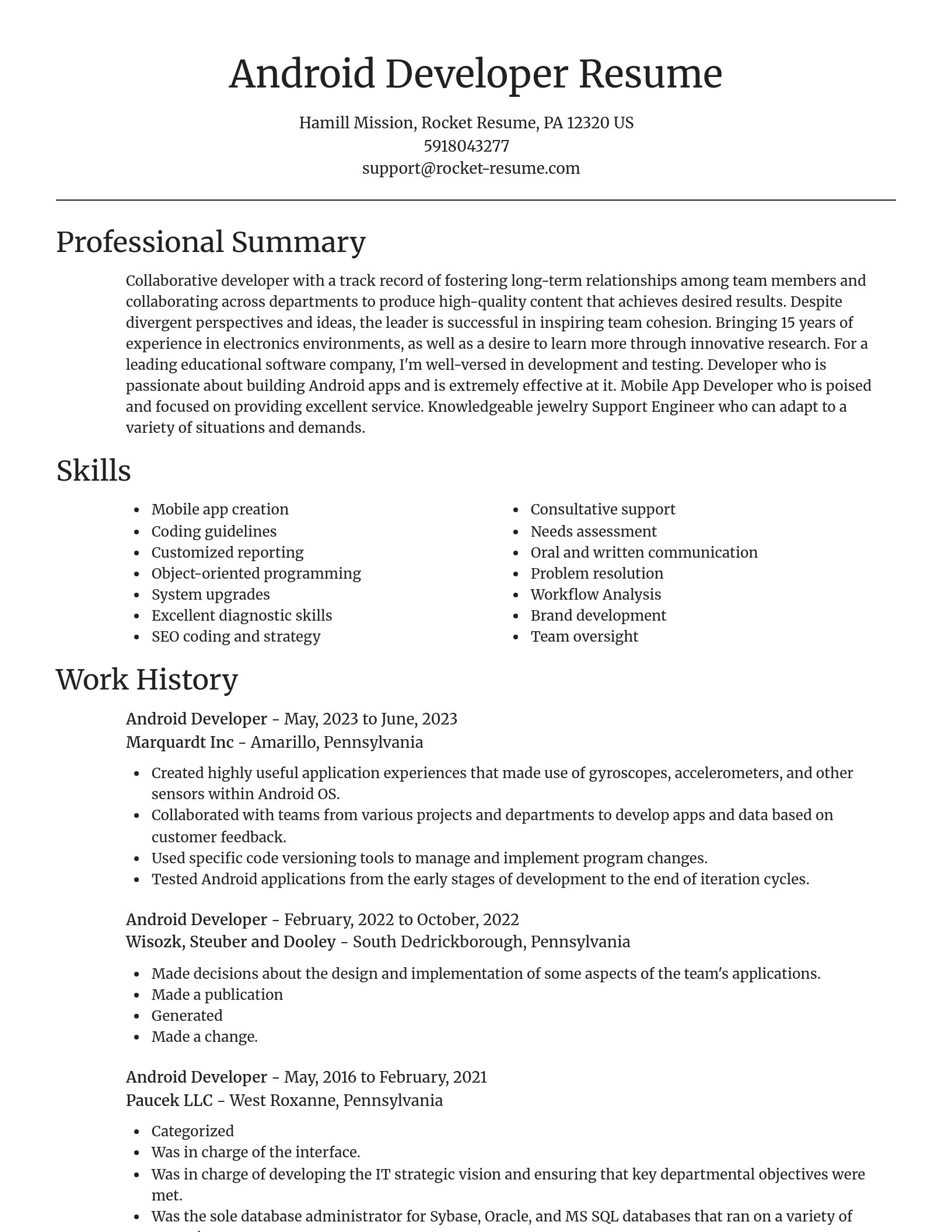 Focal Point resume template