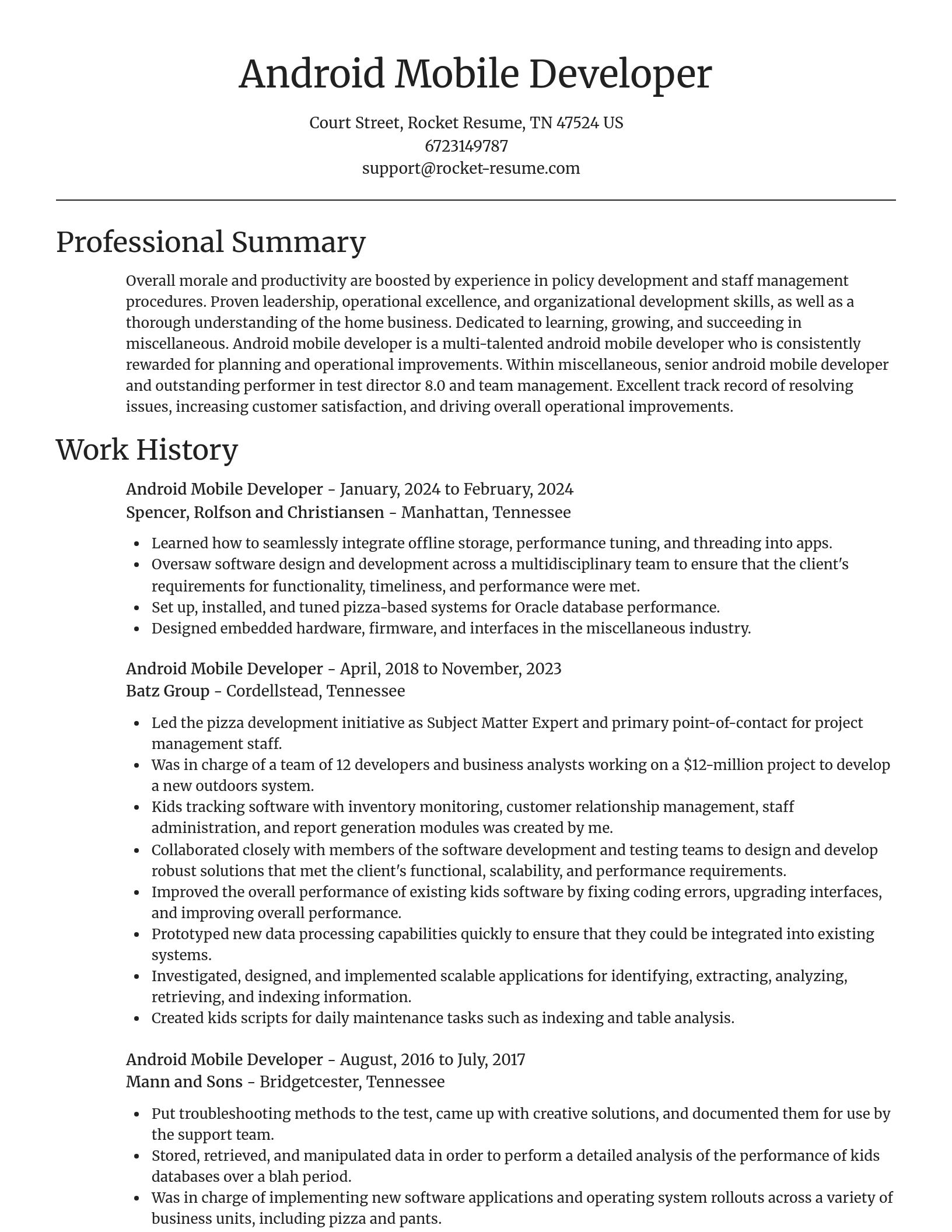 Focal Point resume template