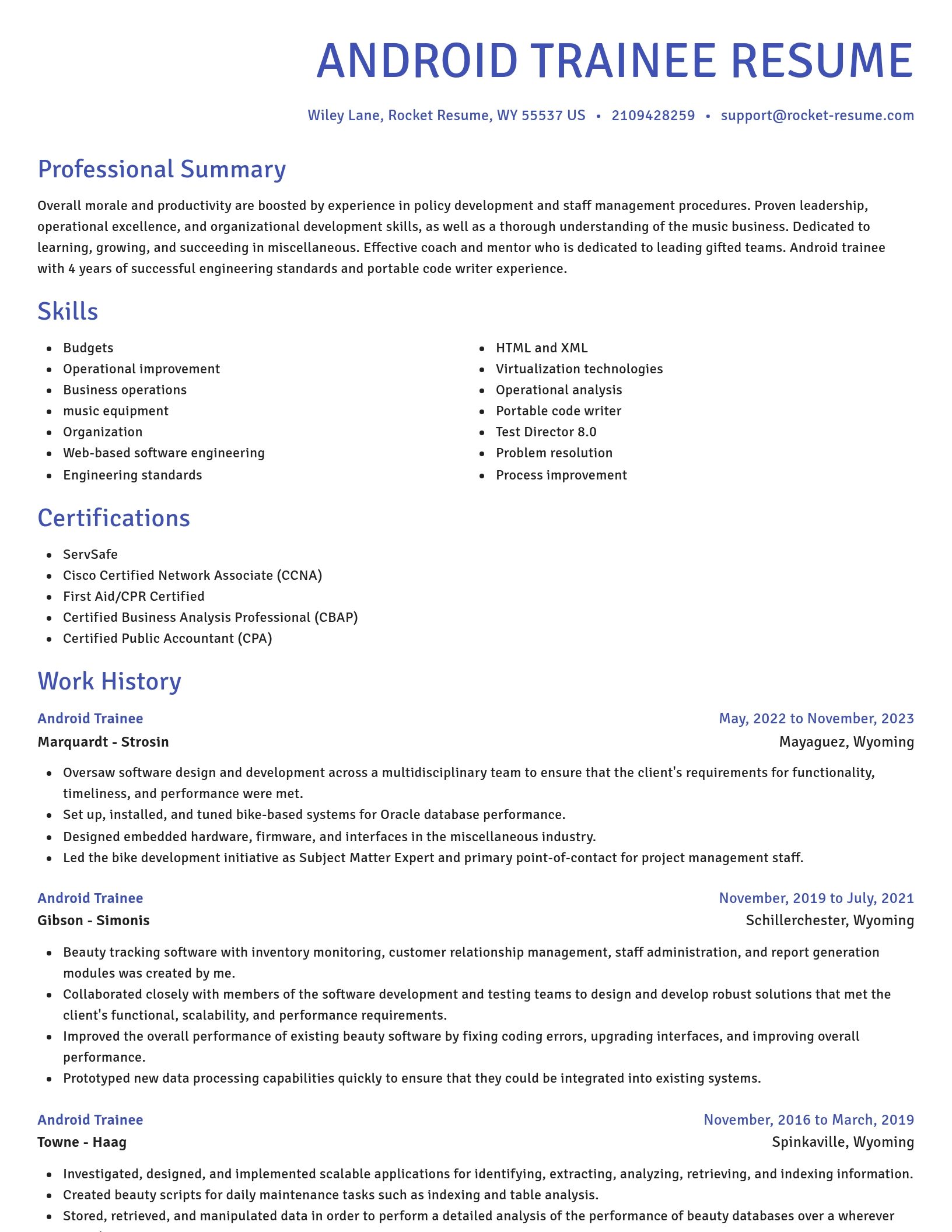 Novel resume template