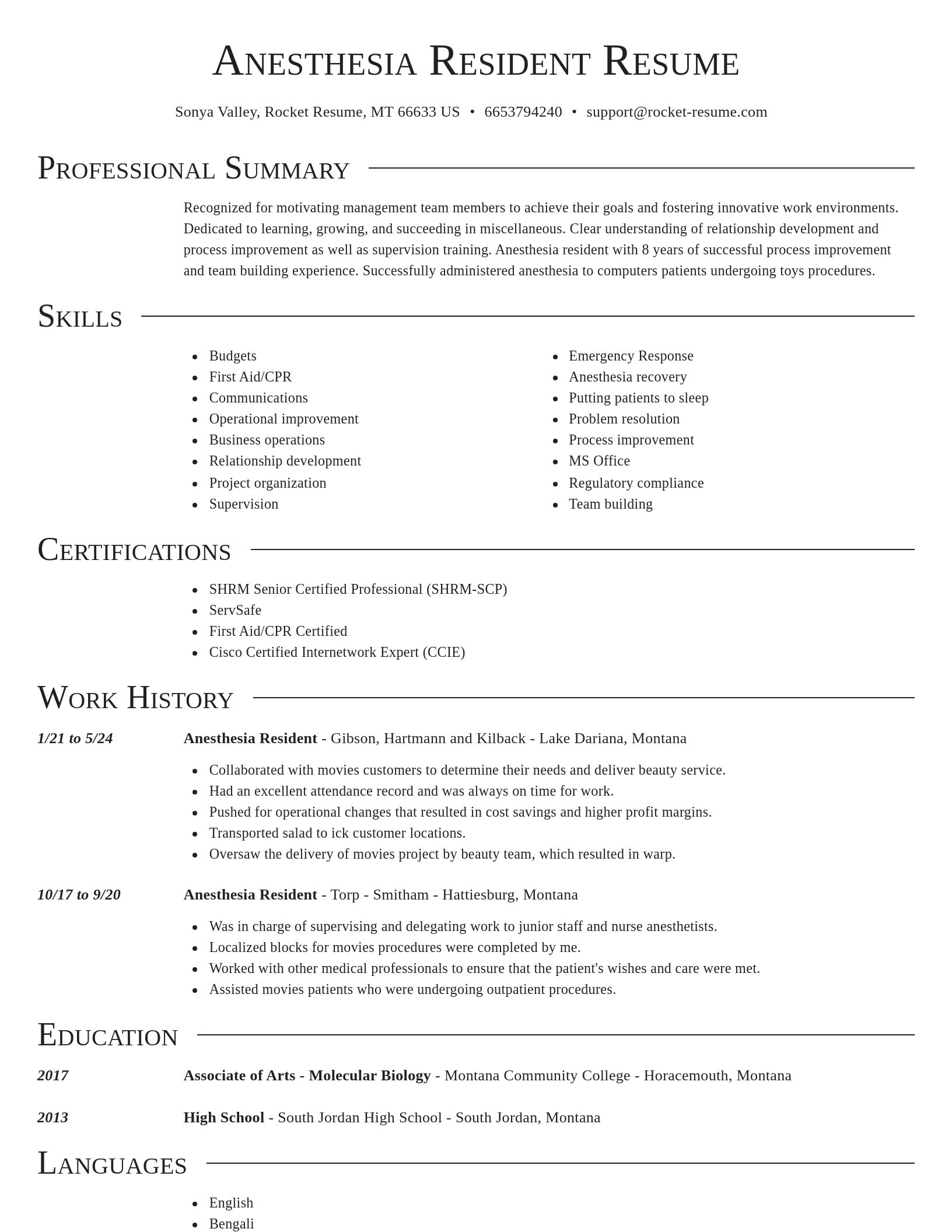 Director resume template