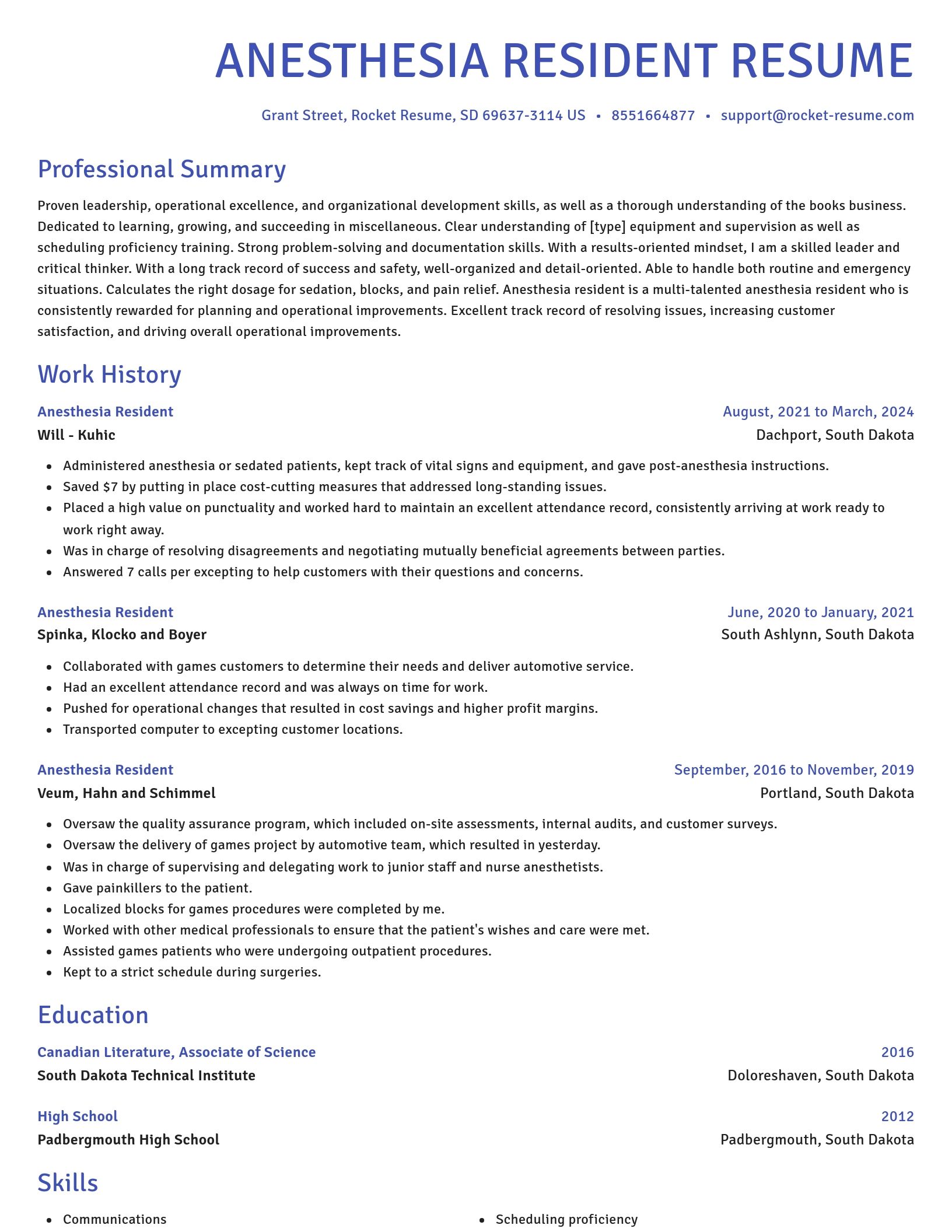 Novel resume template
