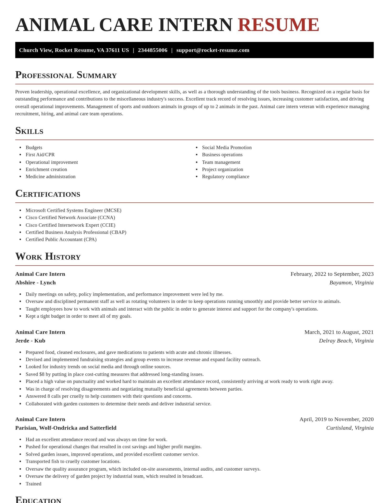 Exquisite resume template