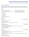 Animation Intern resume template