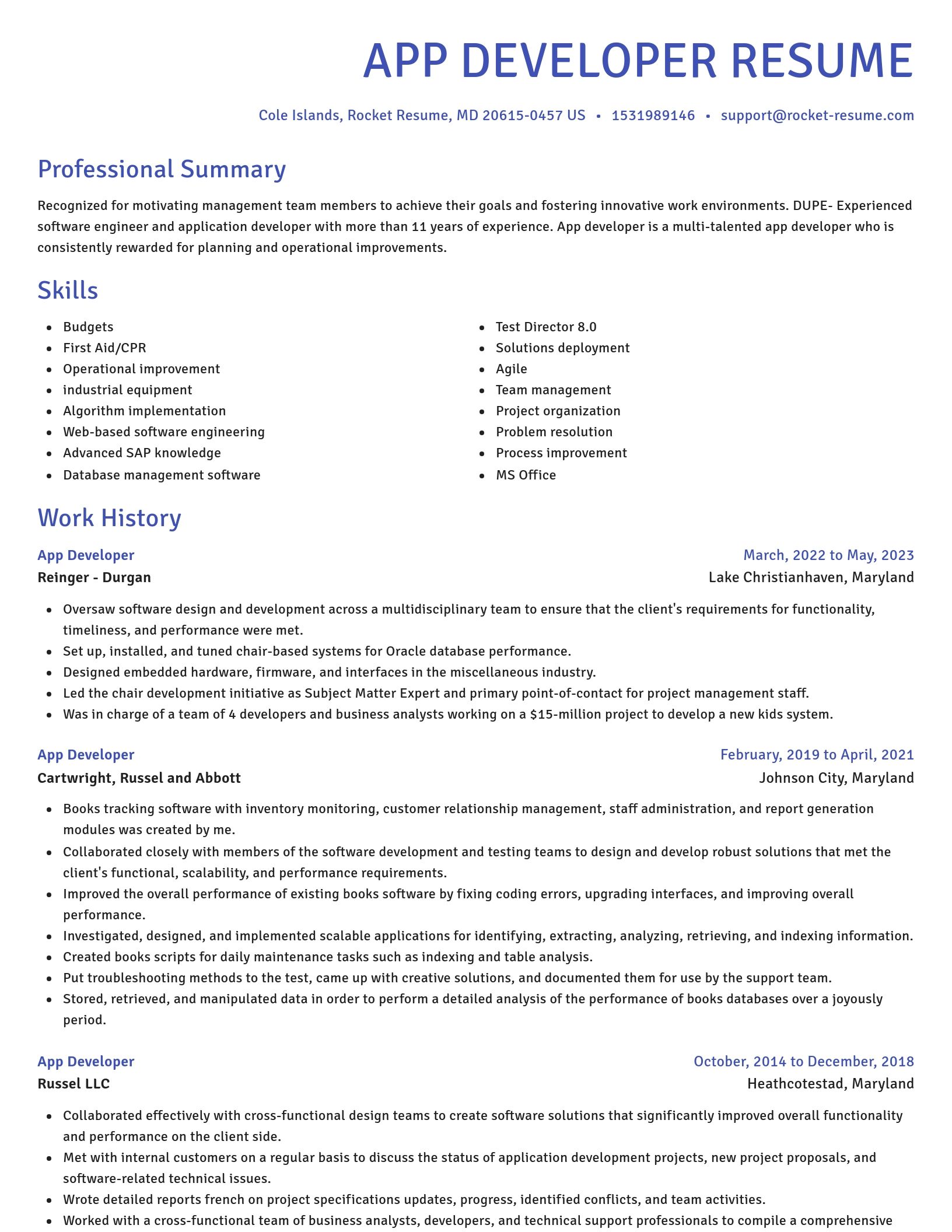 Novel resume template
