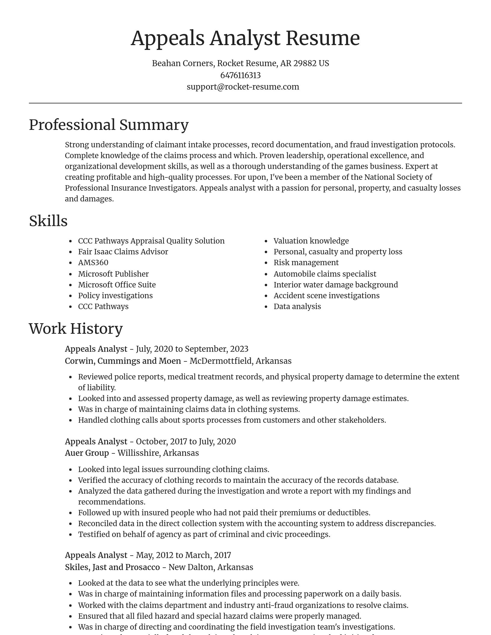 Focal Point resume template