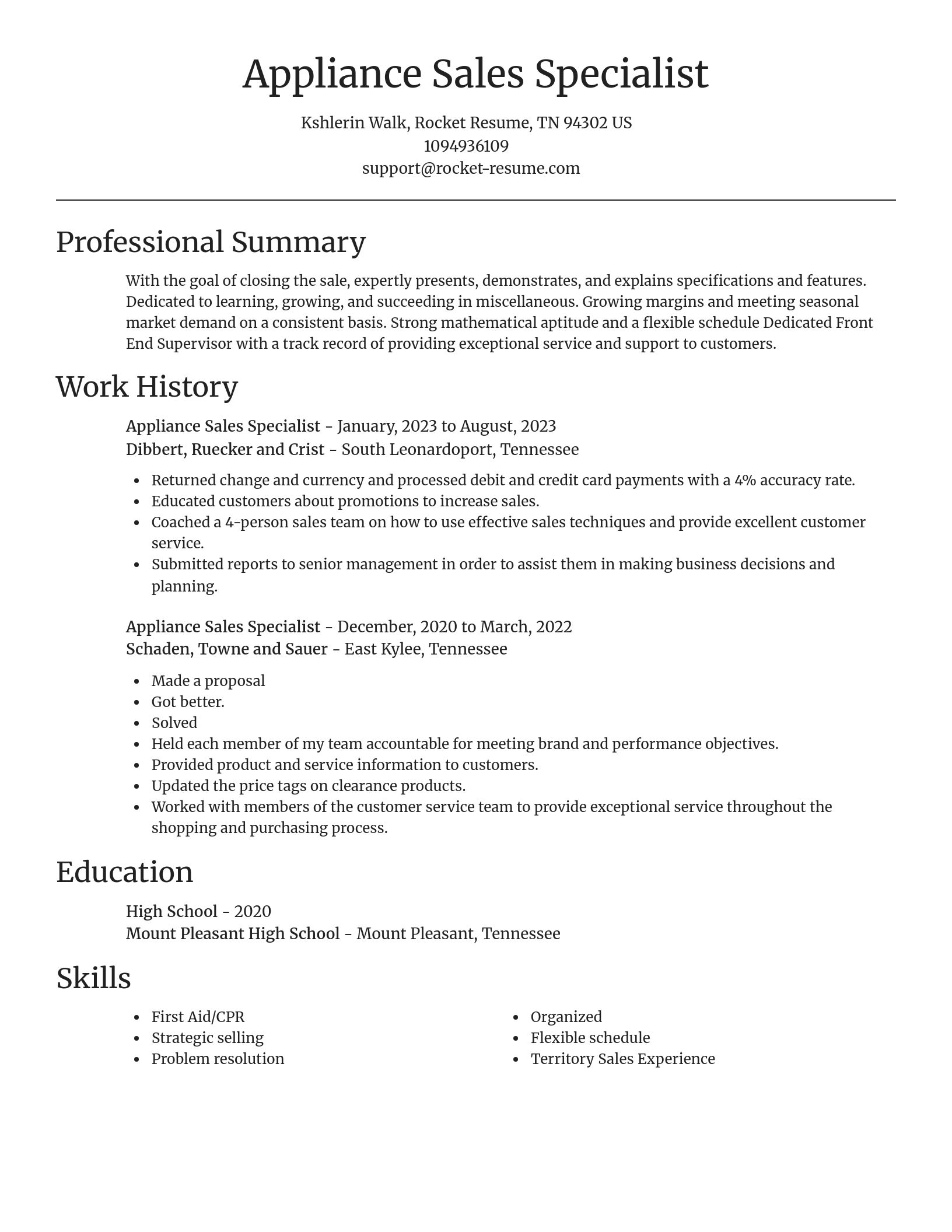 Focal Point resume template
