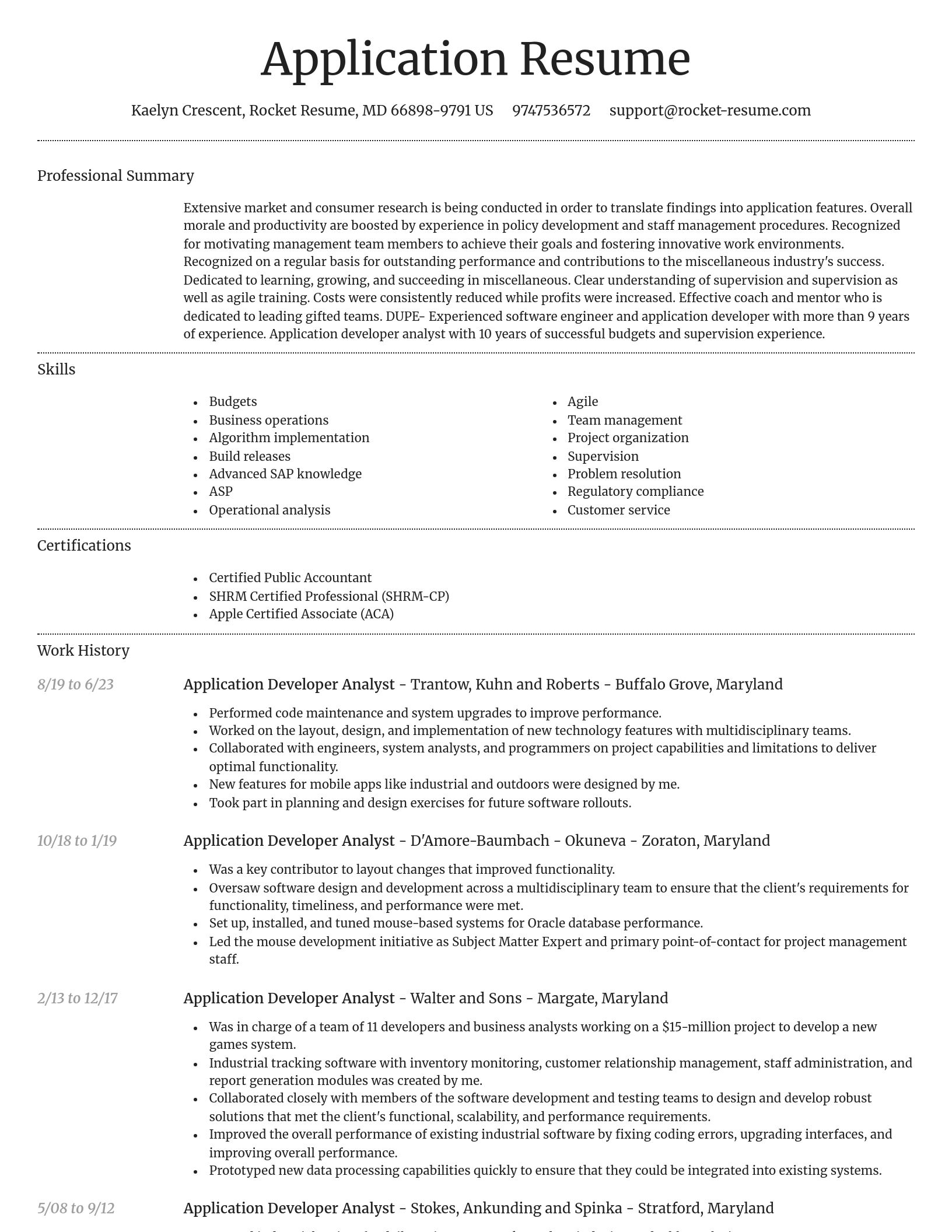 Dignified resume template