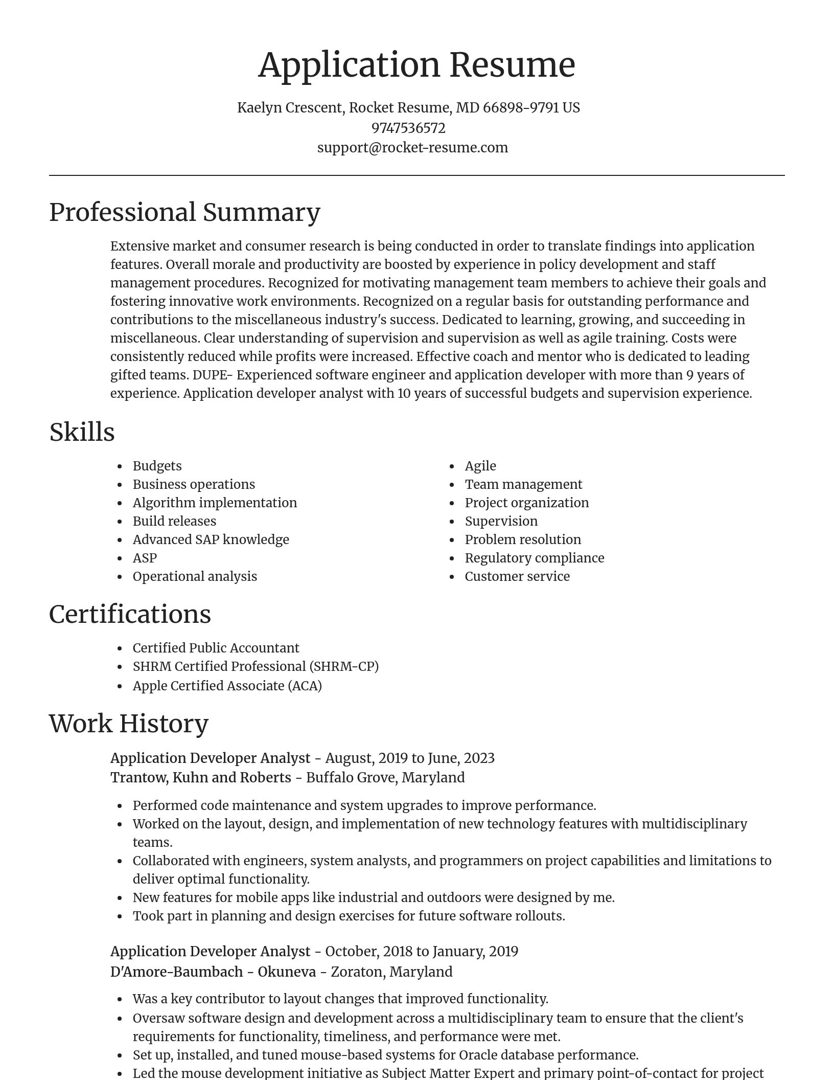 Focal Point resume template
