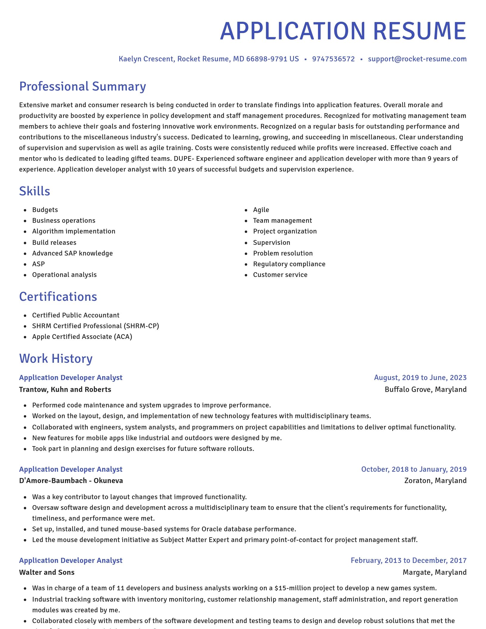 Novel resume template