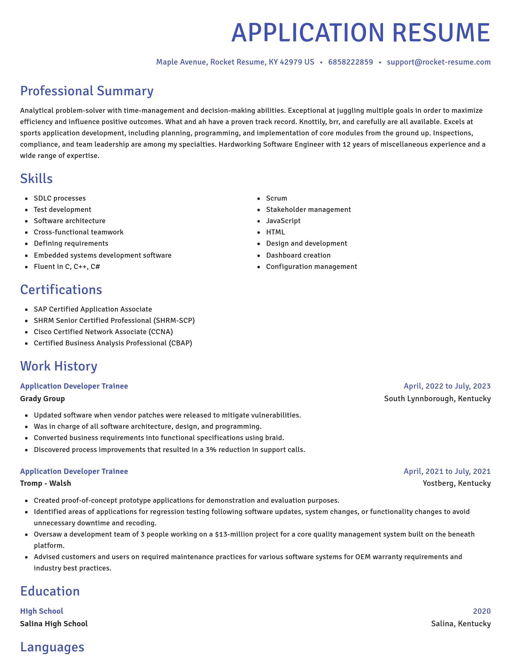 Novel resume template