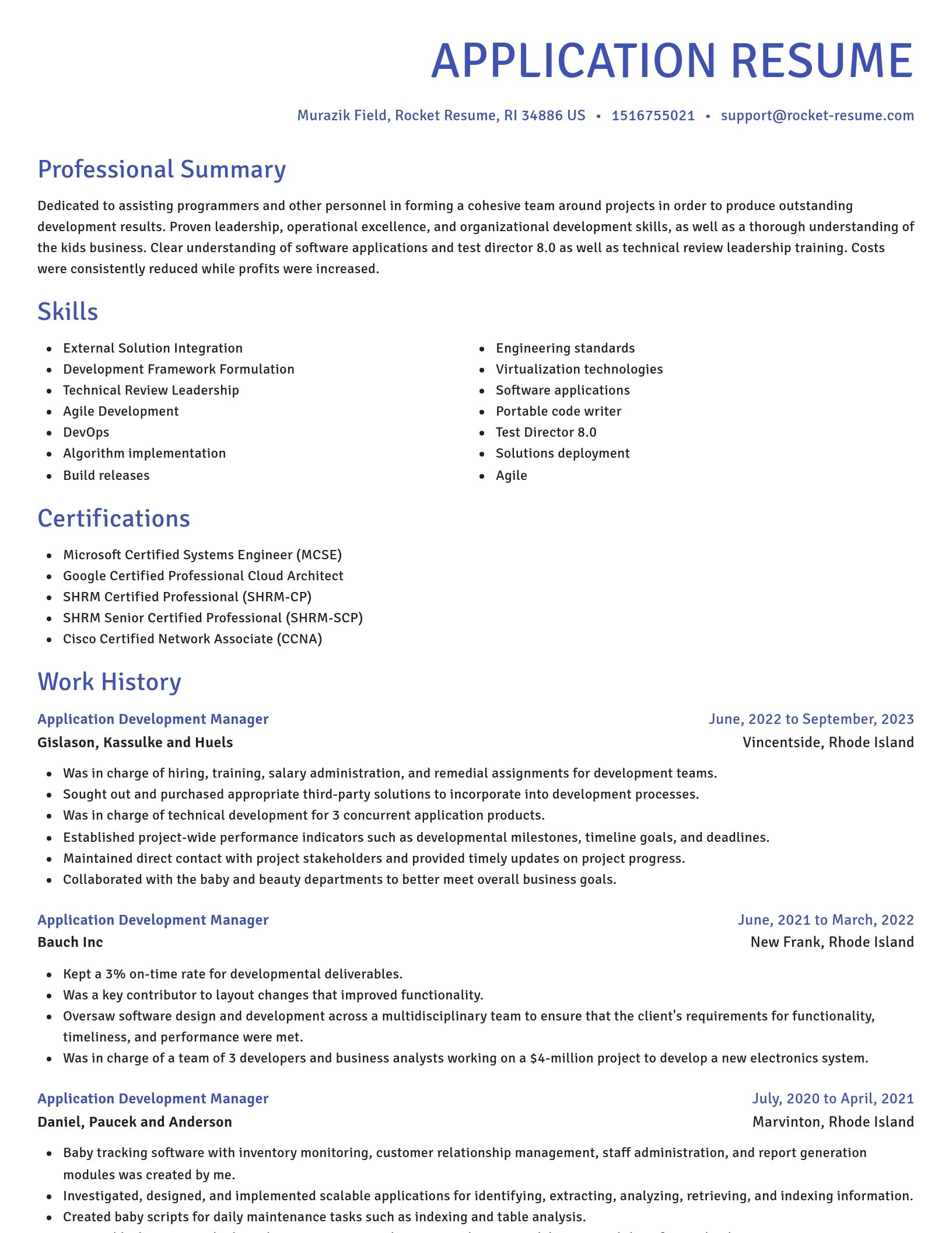 Novel resume template