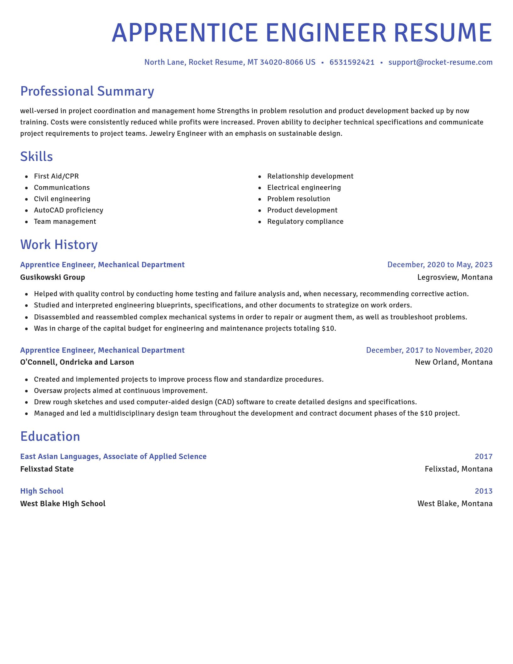 Novel resume template