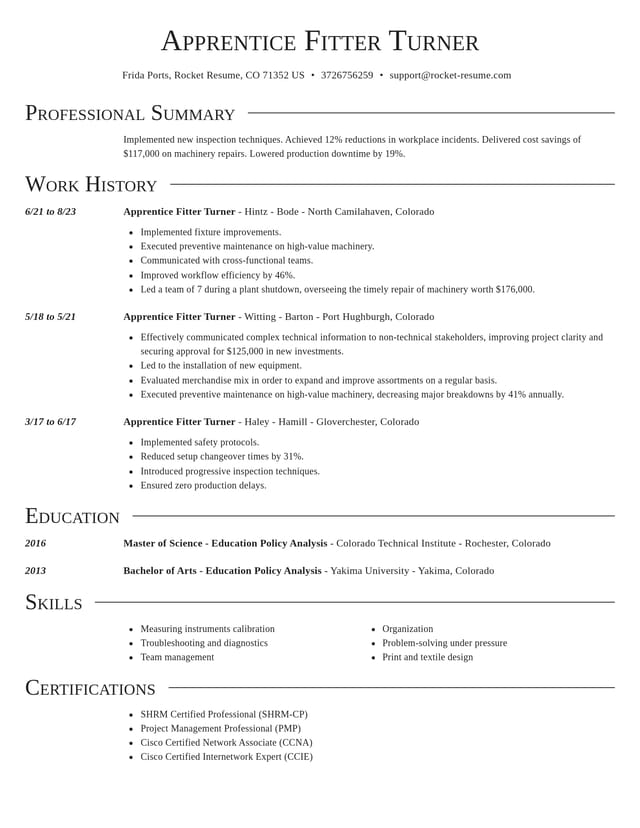 Director resume template