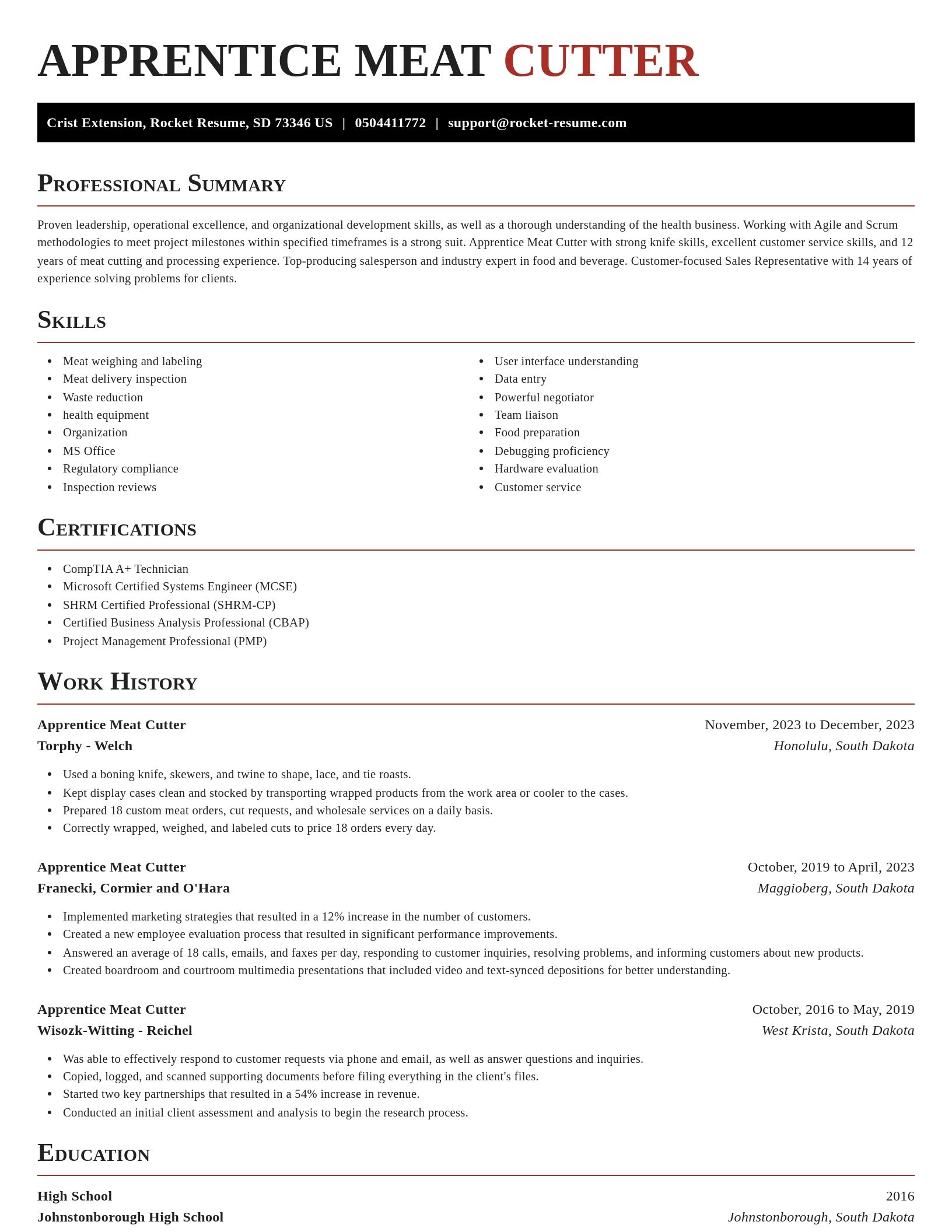 Exquisite resume template