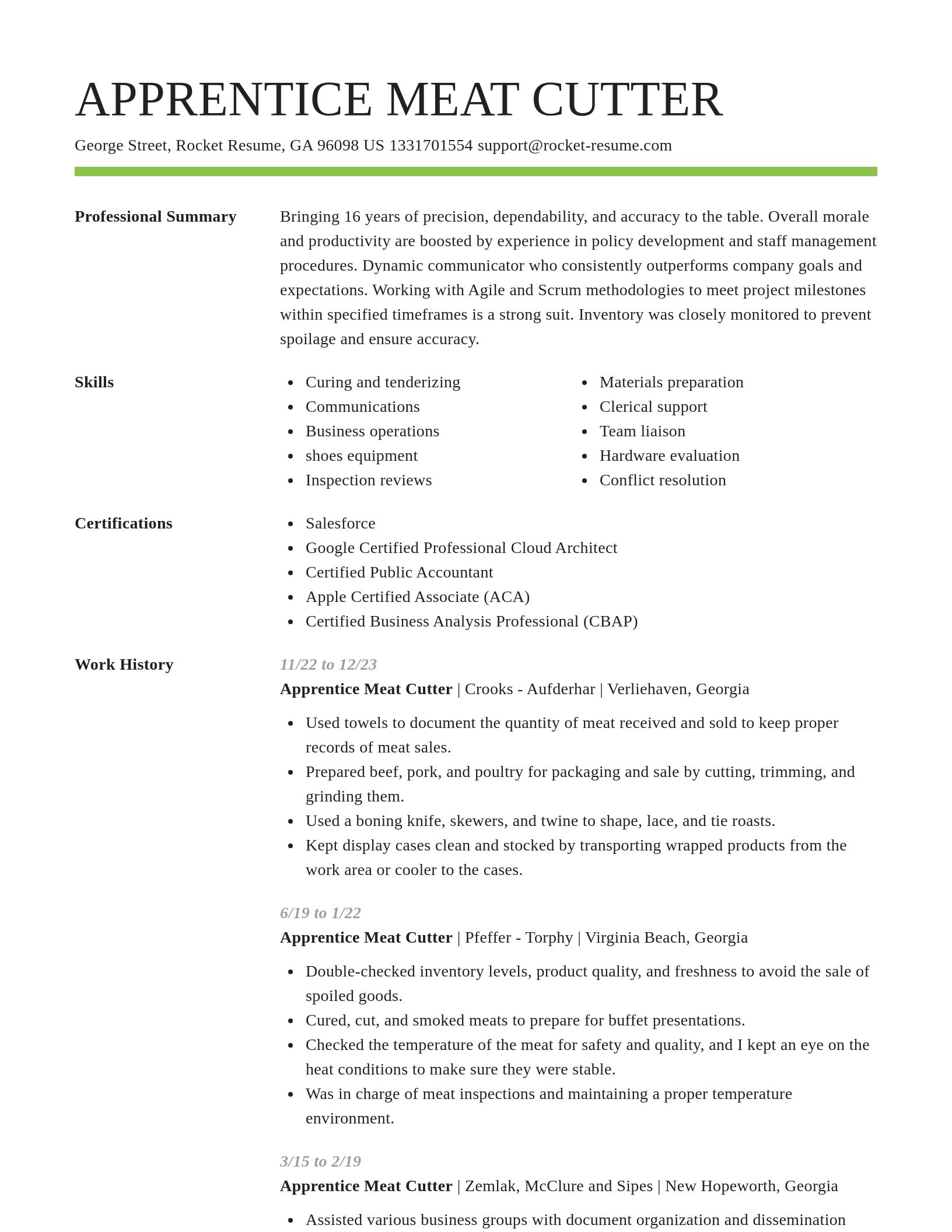 Smart resume template