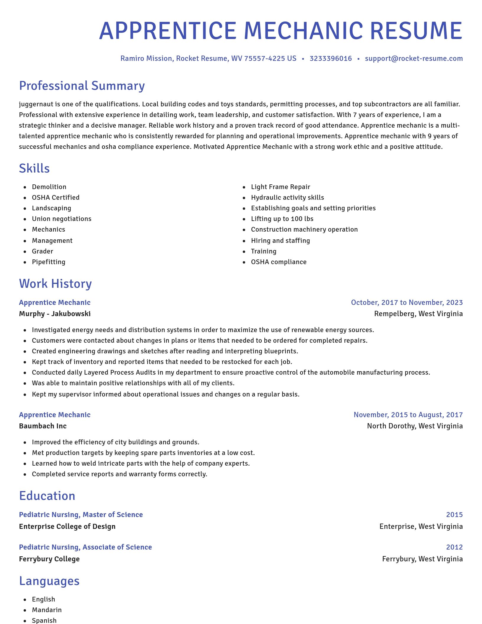 Novel resume template