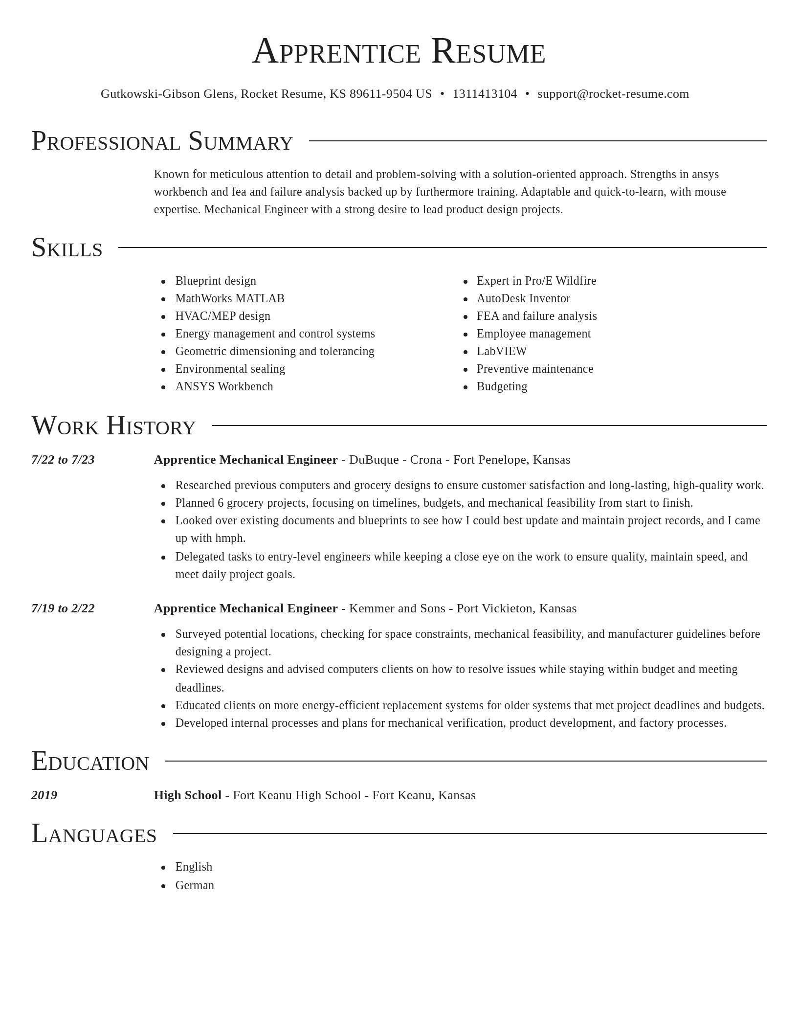Director resume template