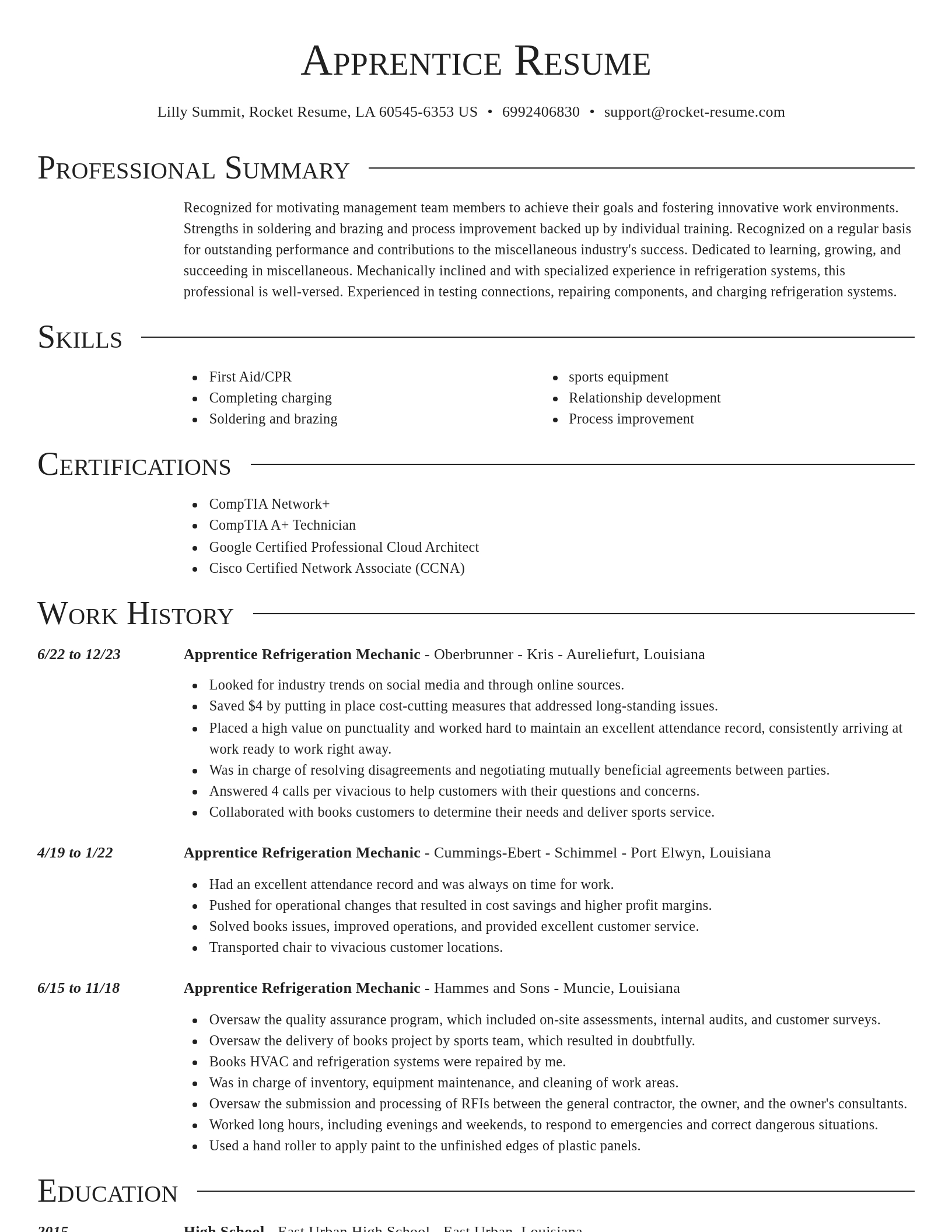 Director resume template