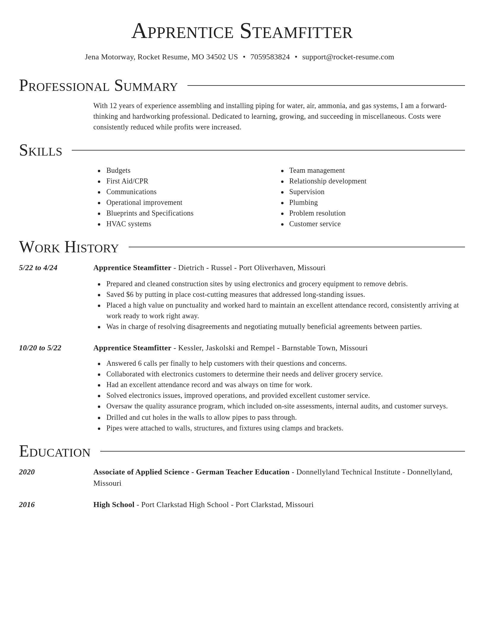 Director resume template