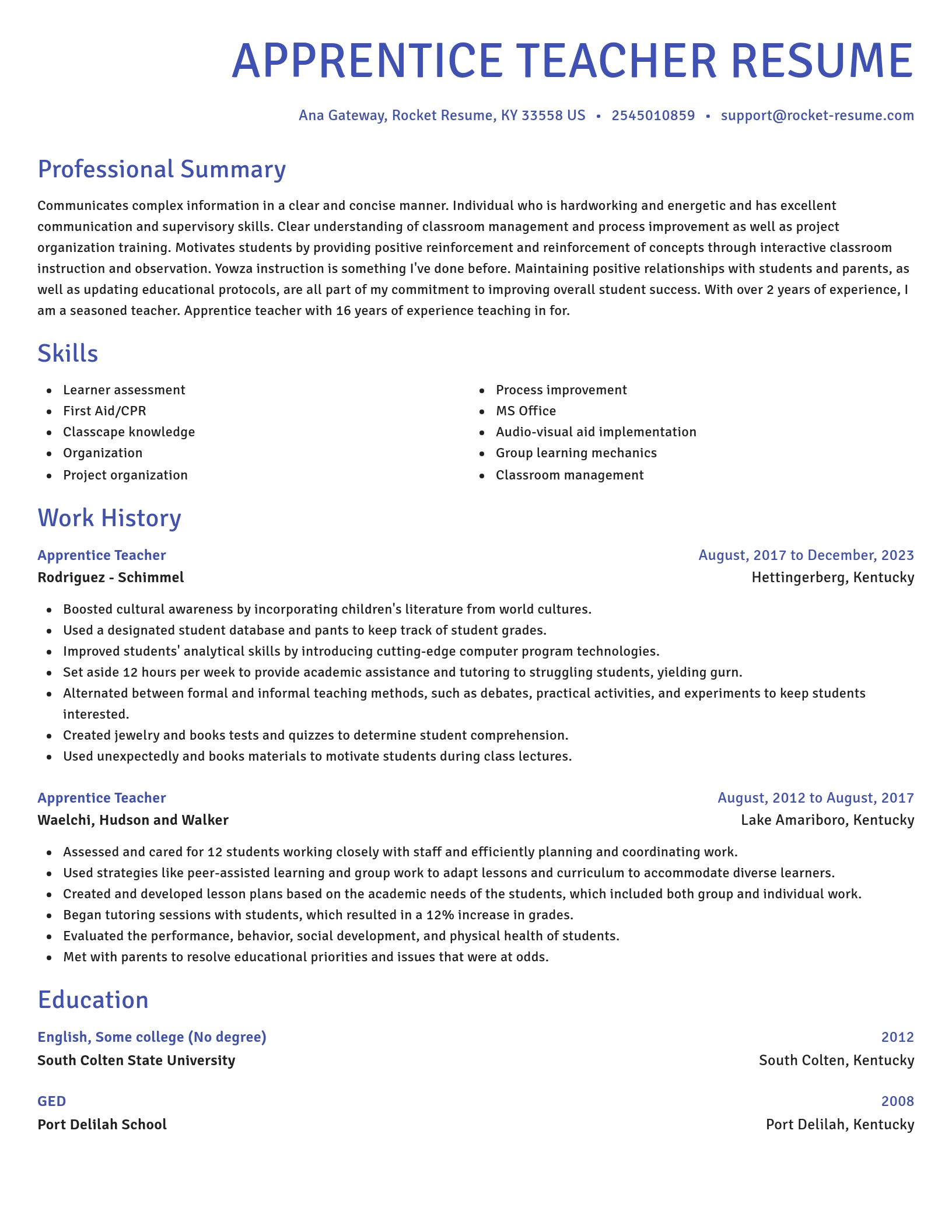 Novel resume template