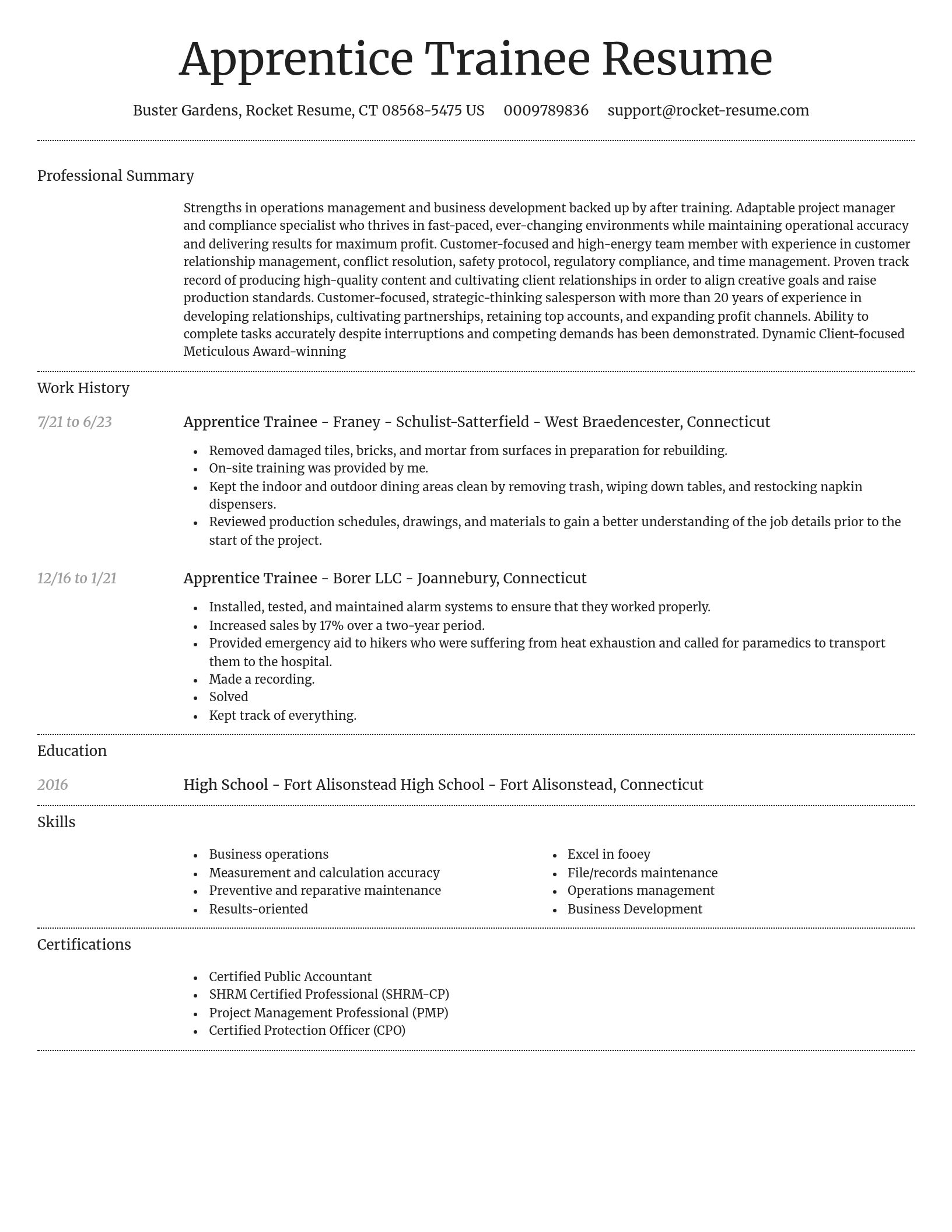 Dignified resume template