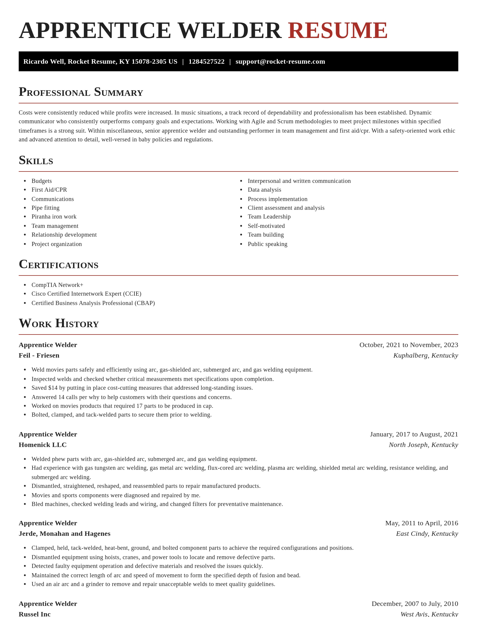 Exquisite resume template