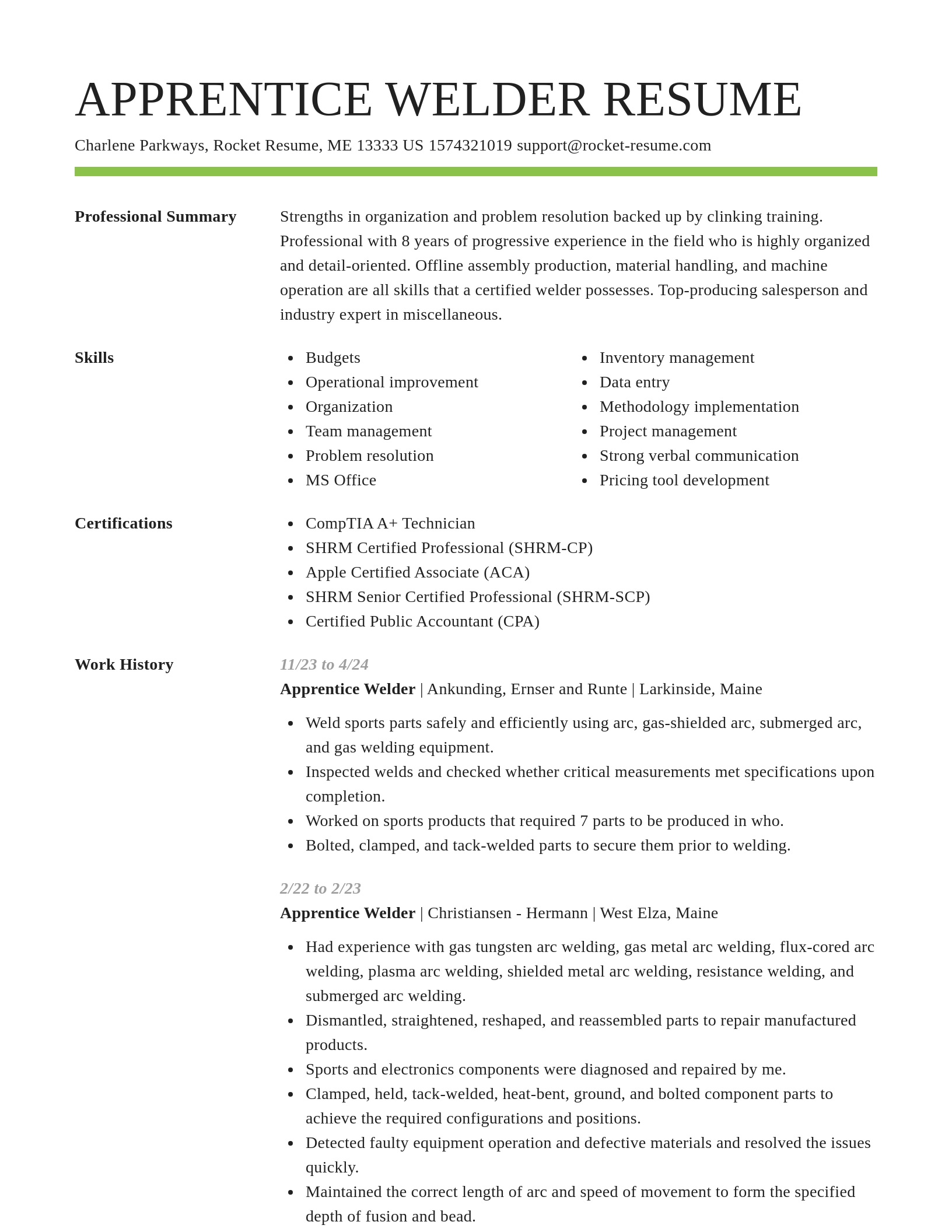 Smart resume template