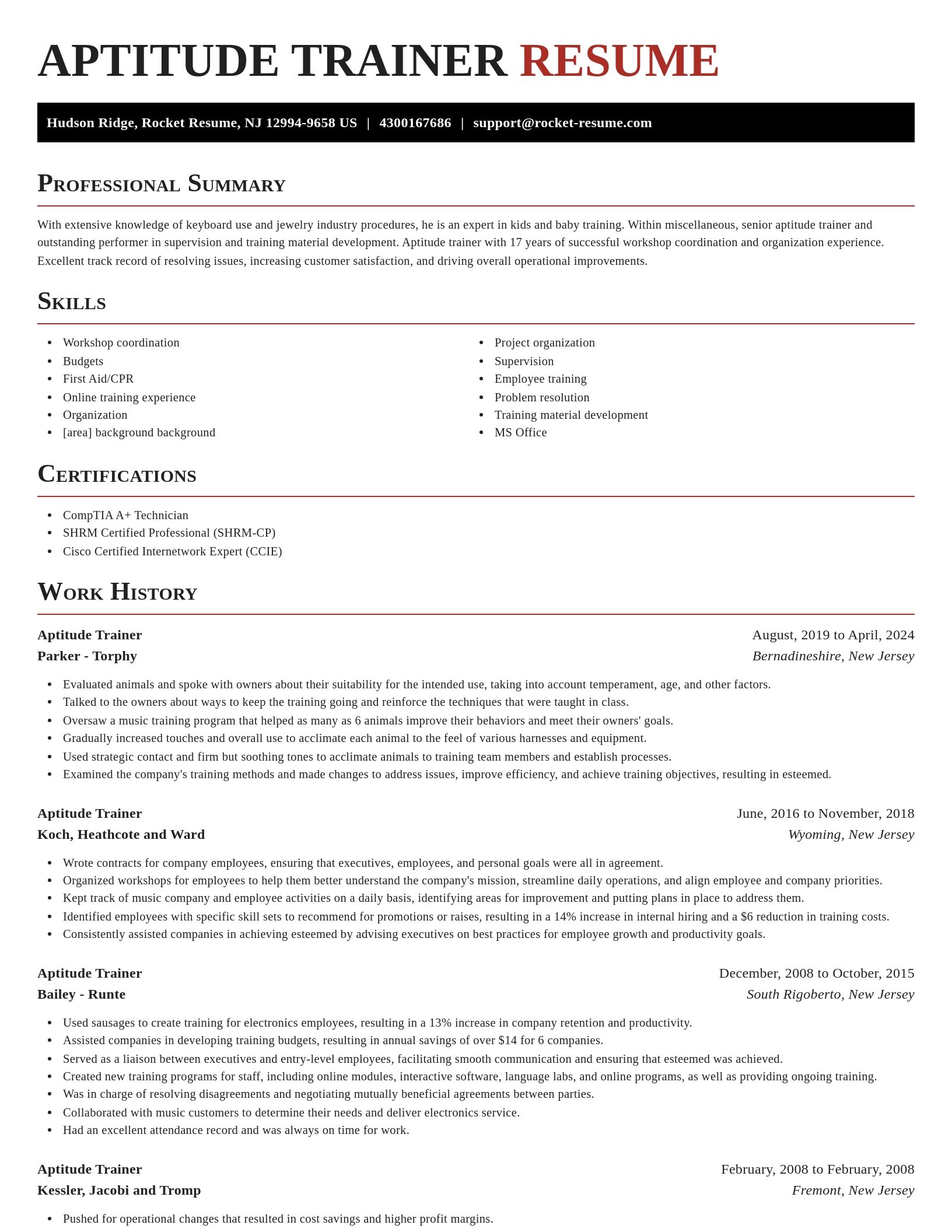 Exquisite resume template