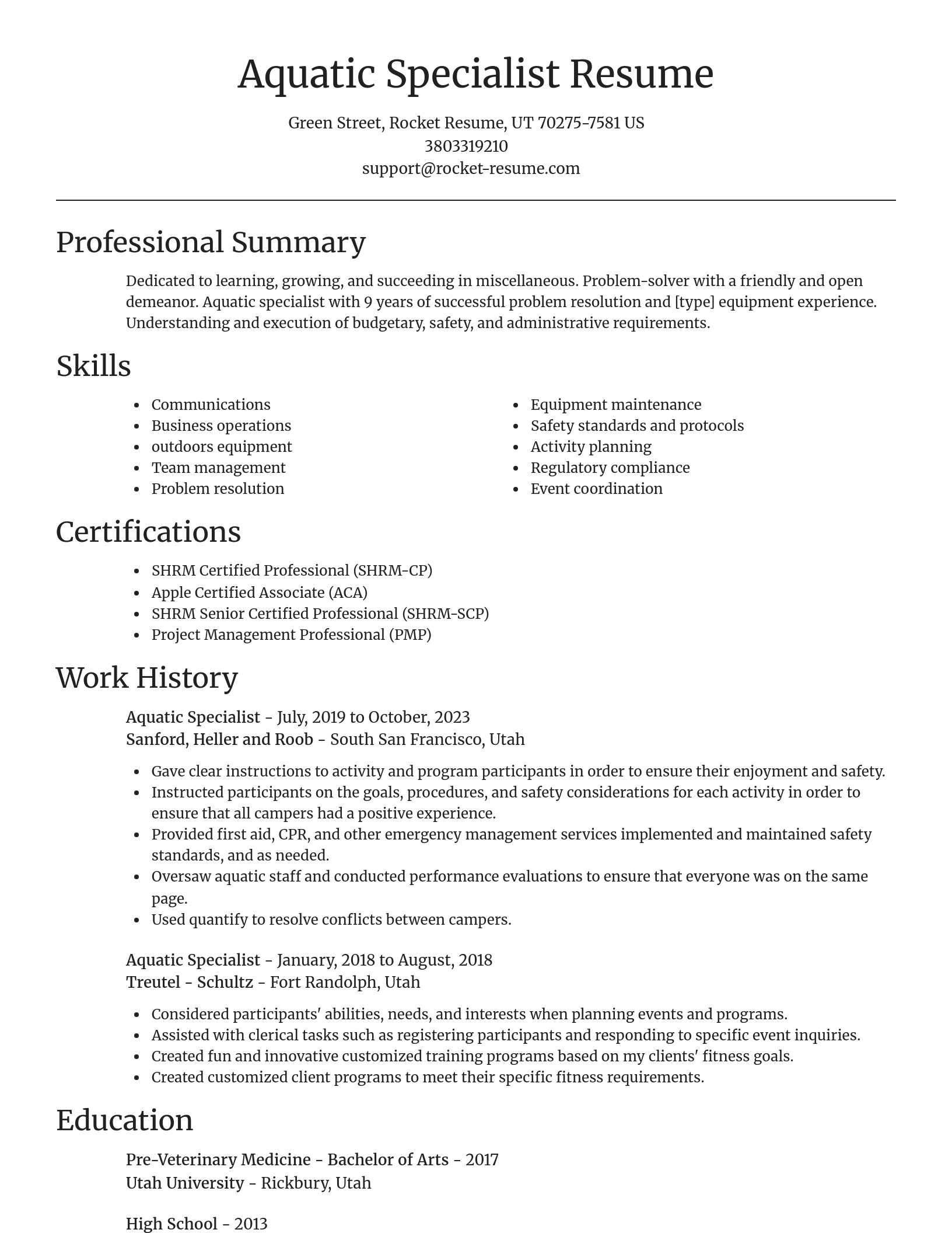 Focal Point resume template