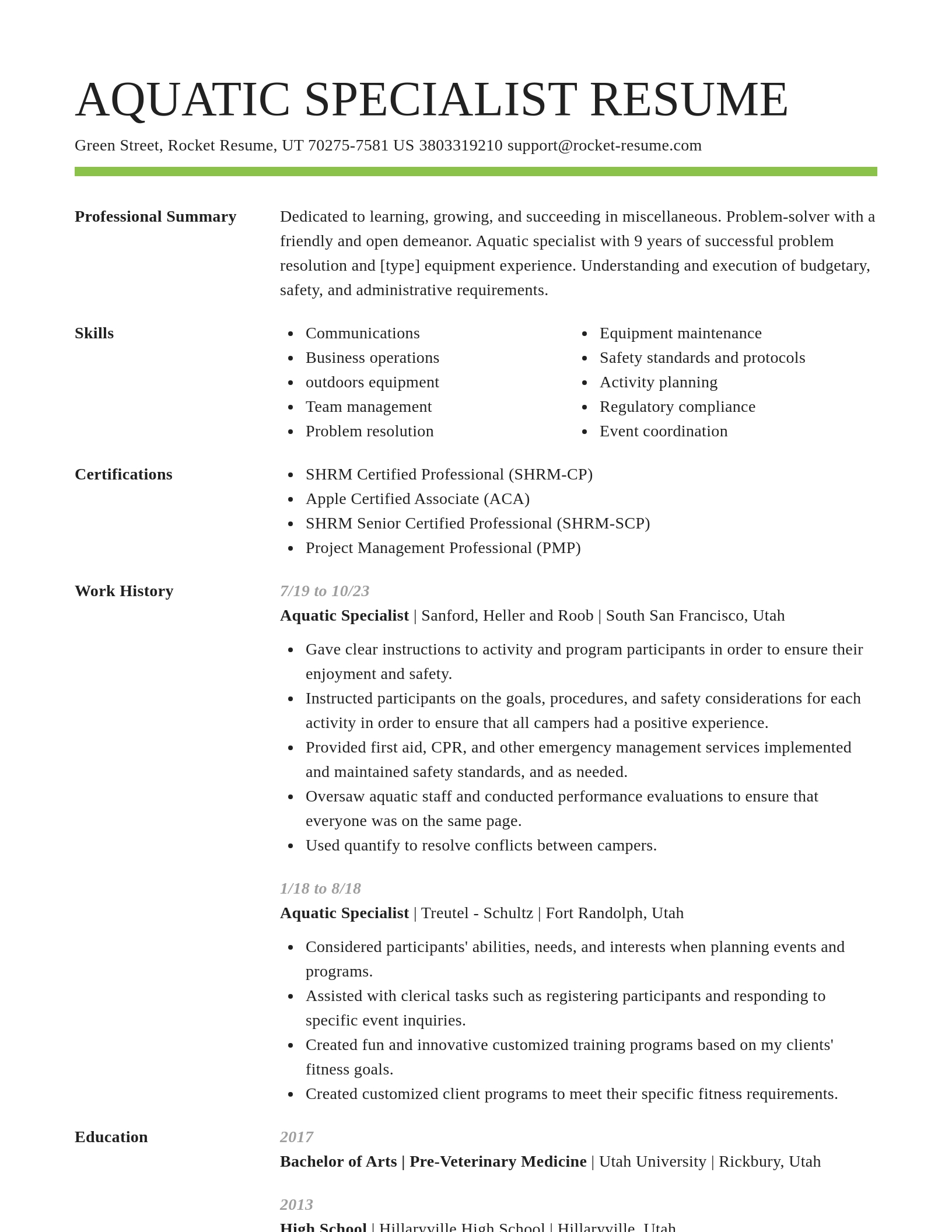Smart resume template