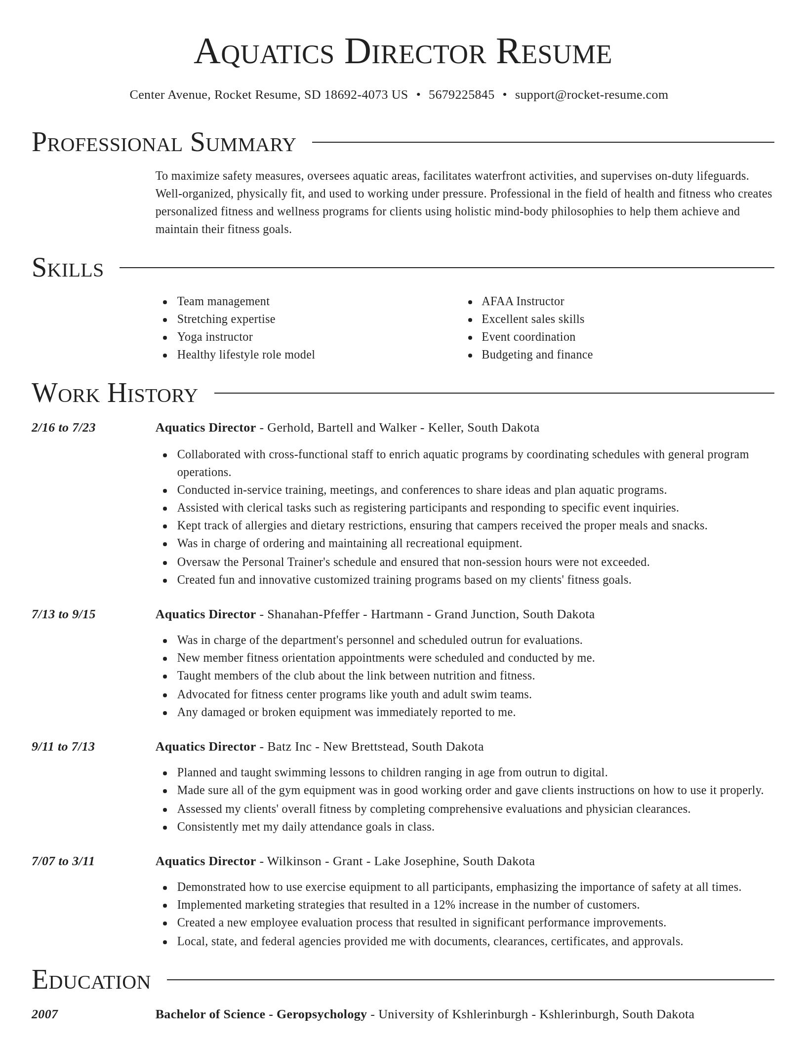 Director resume template