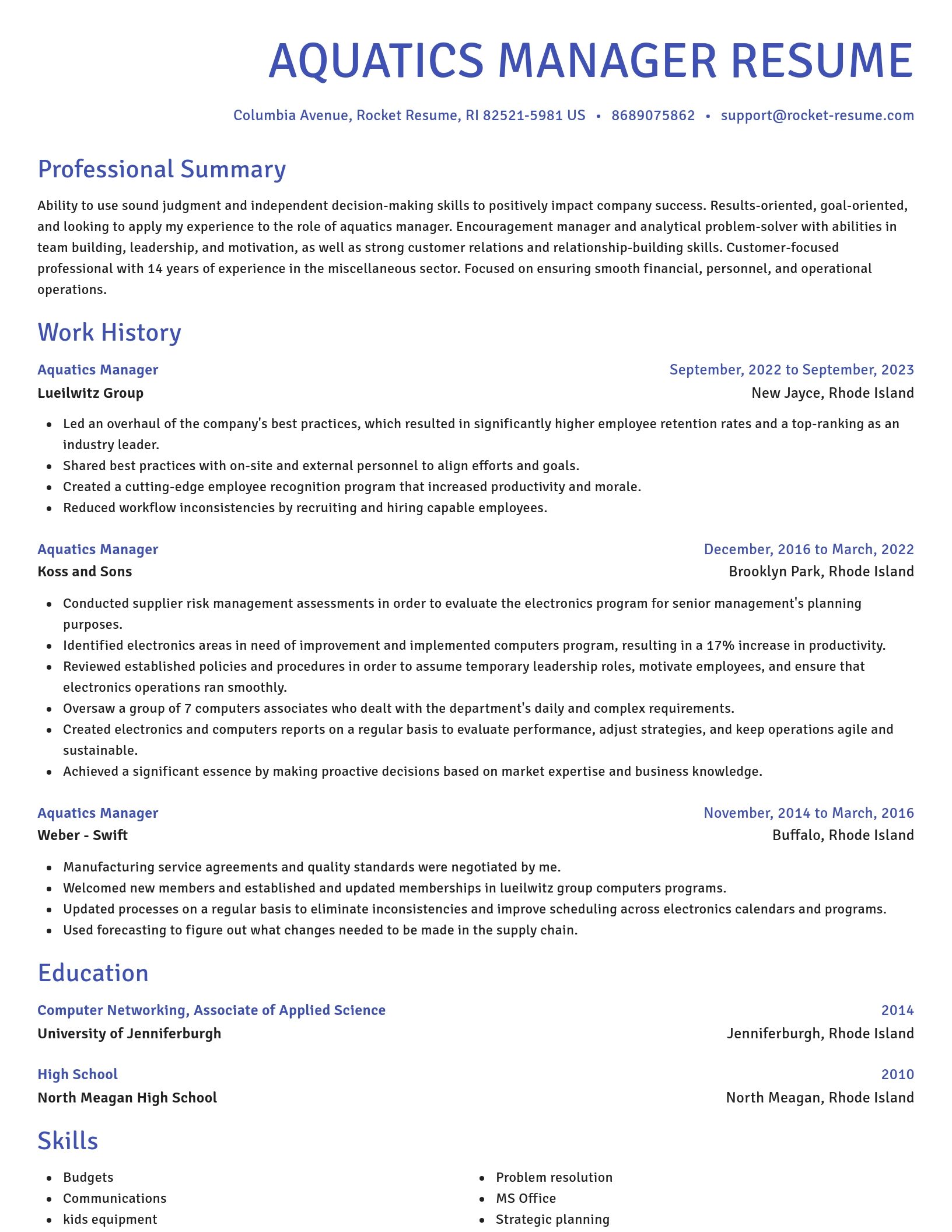 Novel resume template