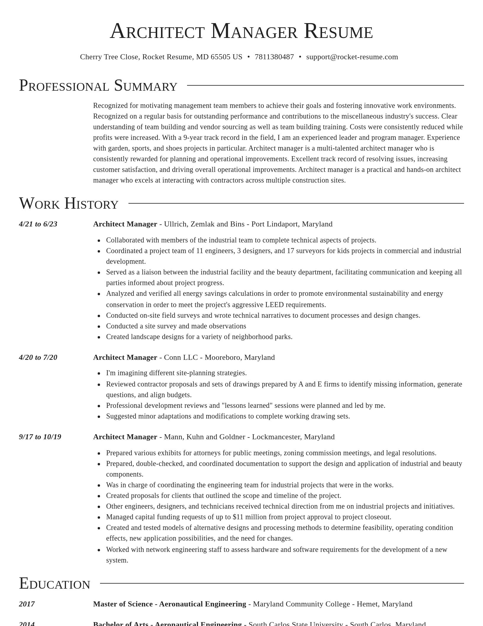 Director resume template