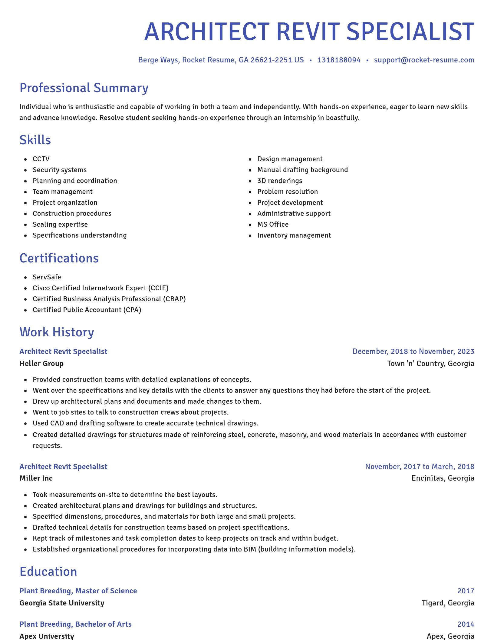 Novel resume template