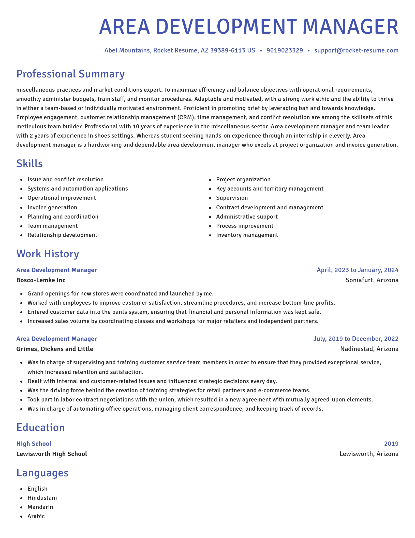 Novel resume template