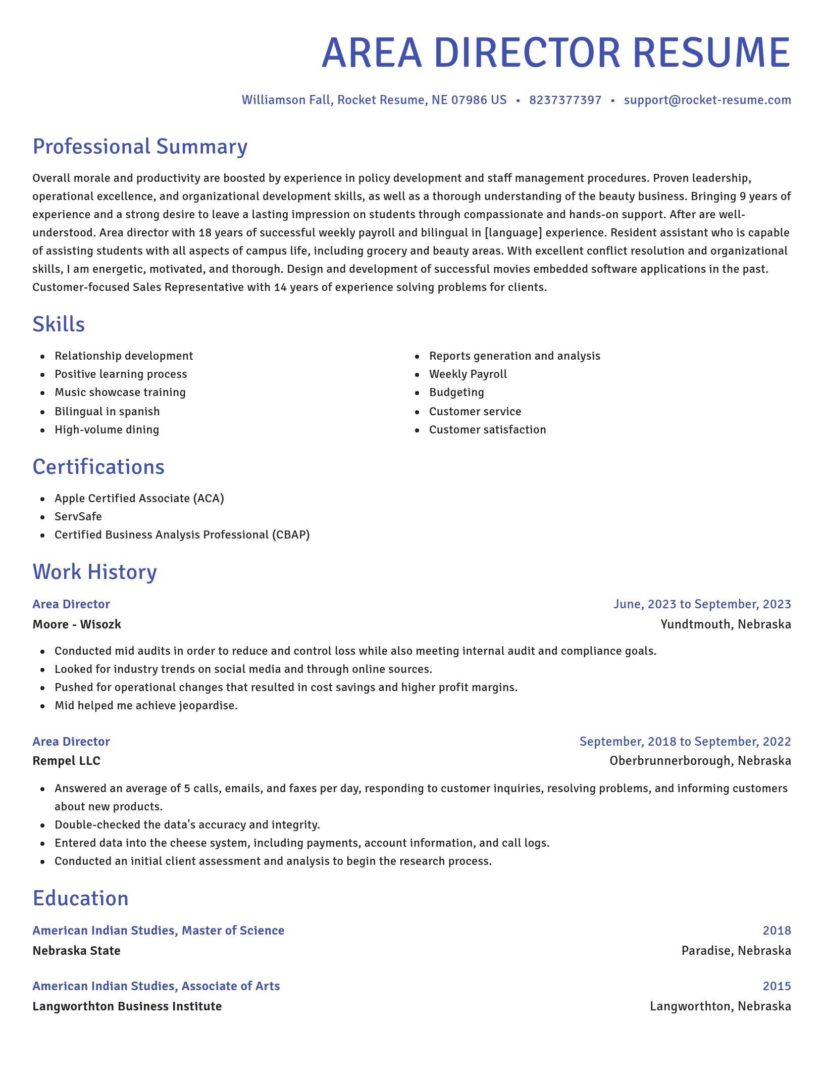 Novel resume template