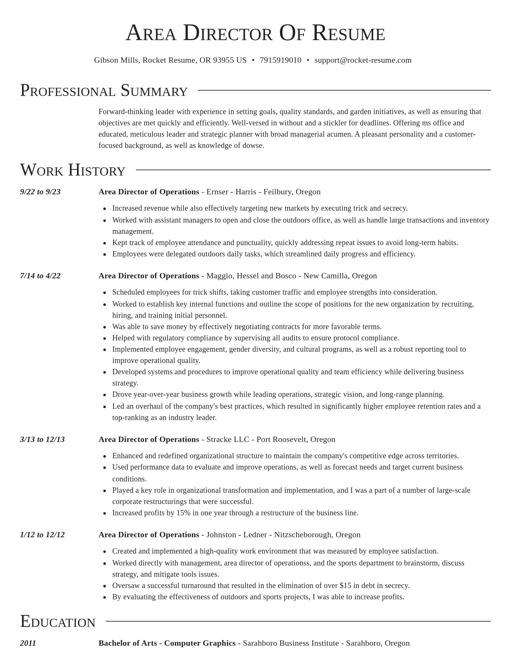 Director resume template