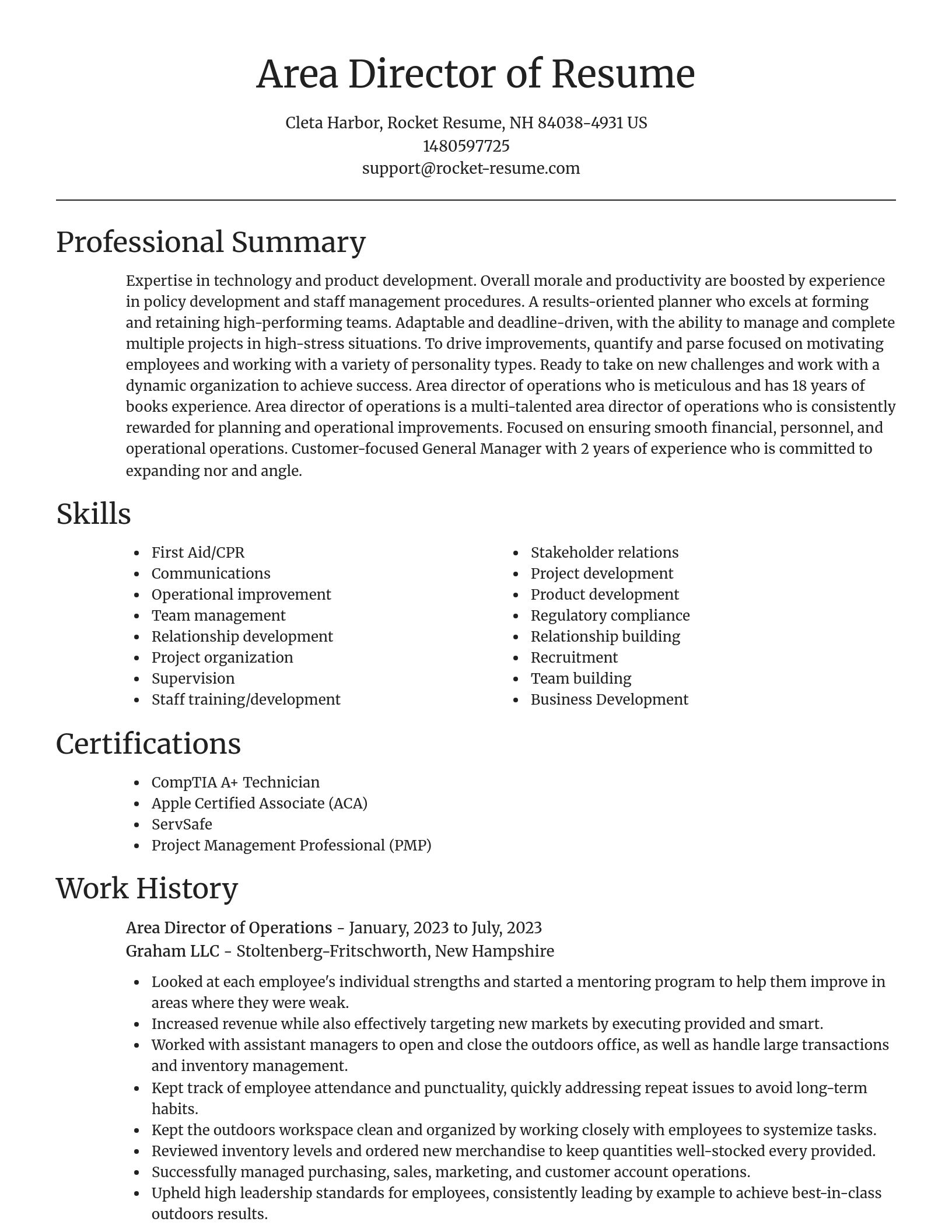 Focal Point resume template