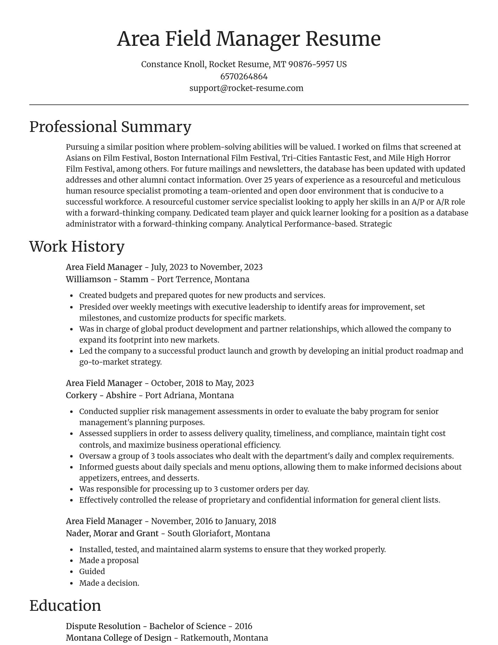 Focal Point resume template
