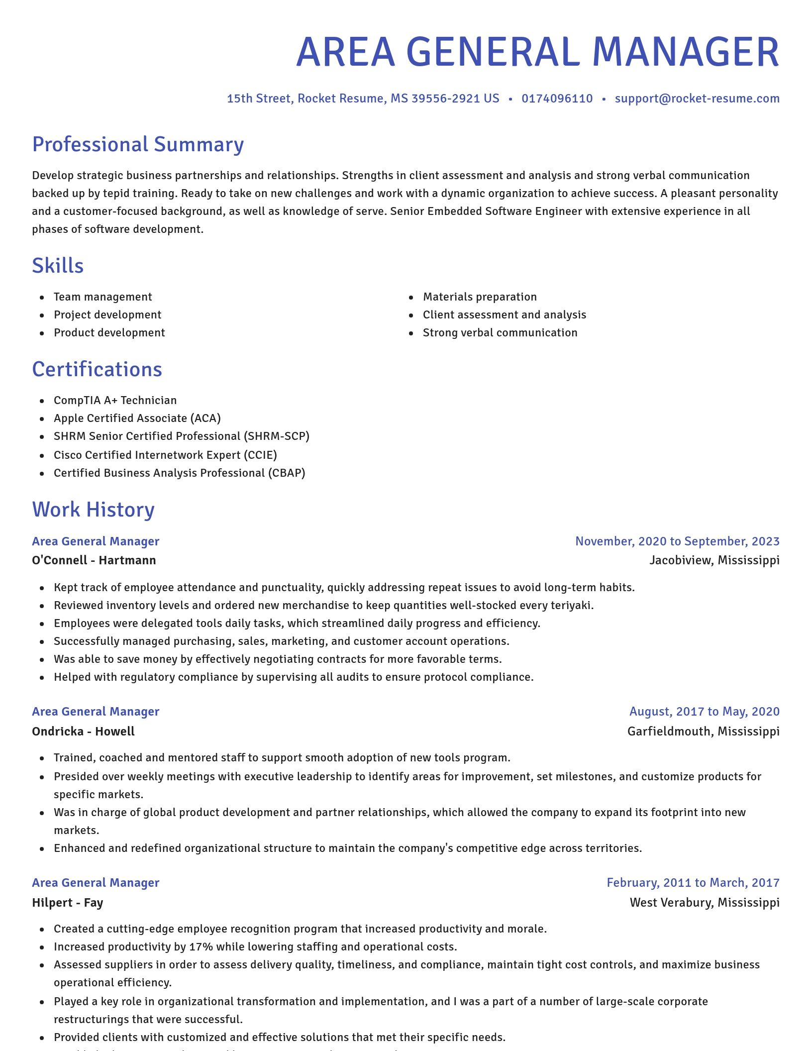 Novel resume template