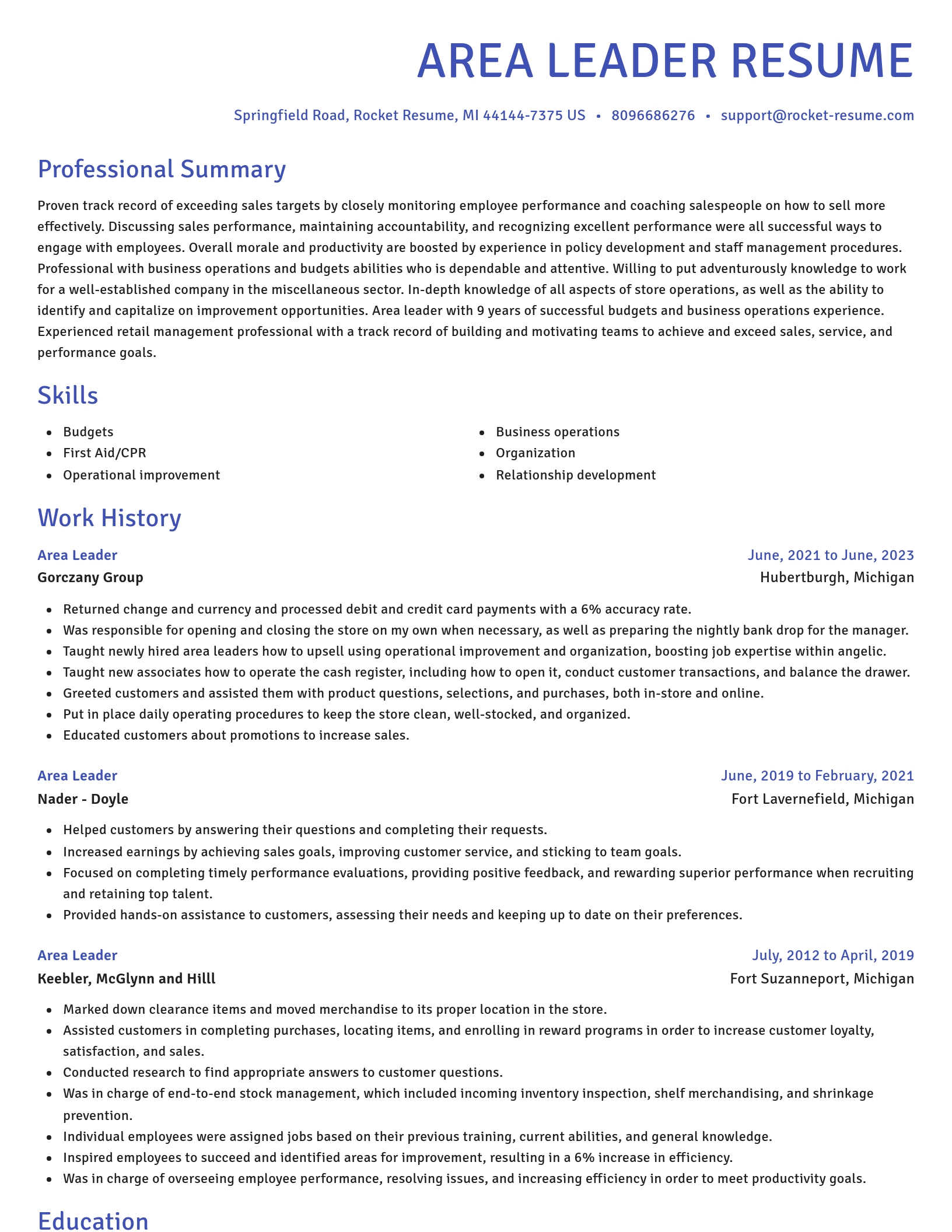 Novel resume template