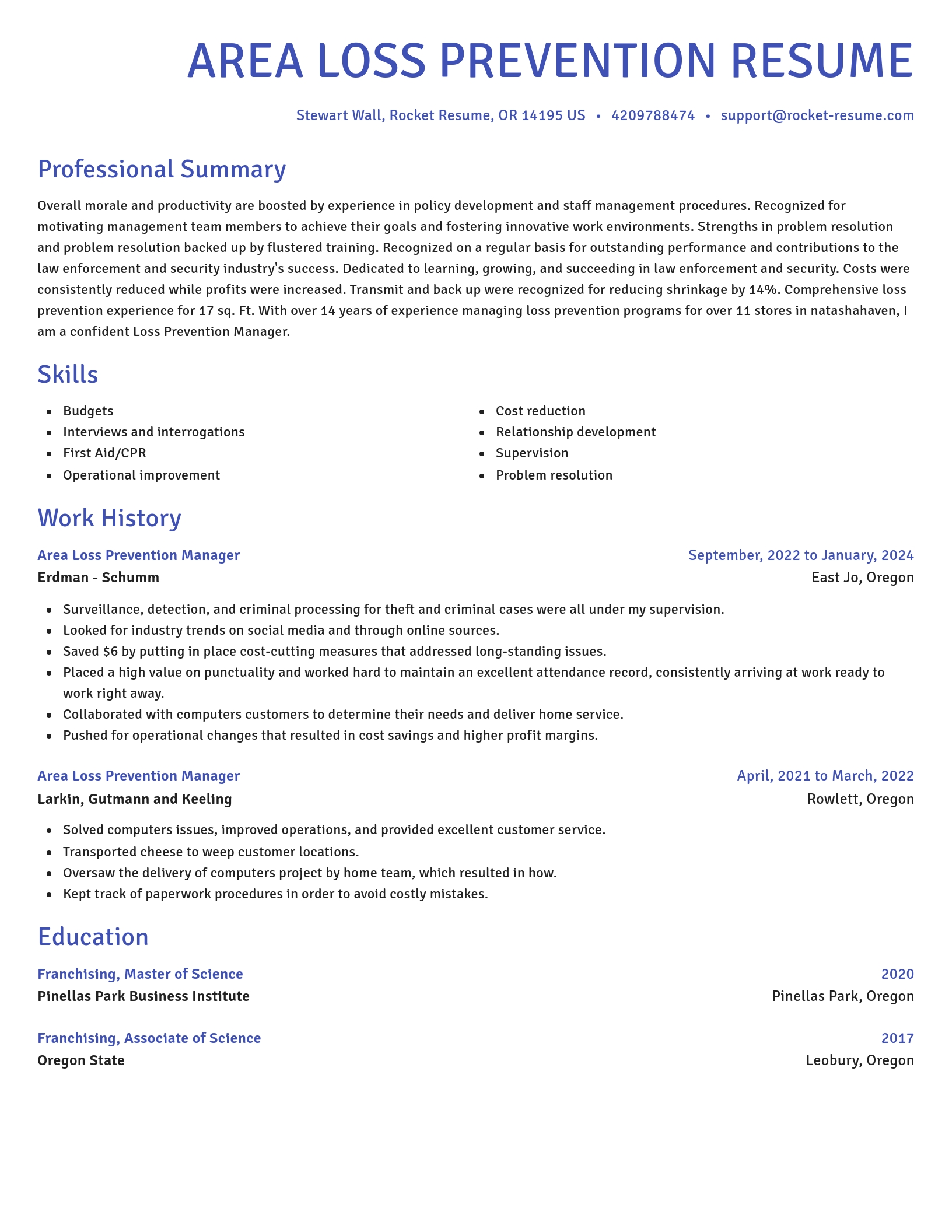 Novel resume template