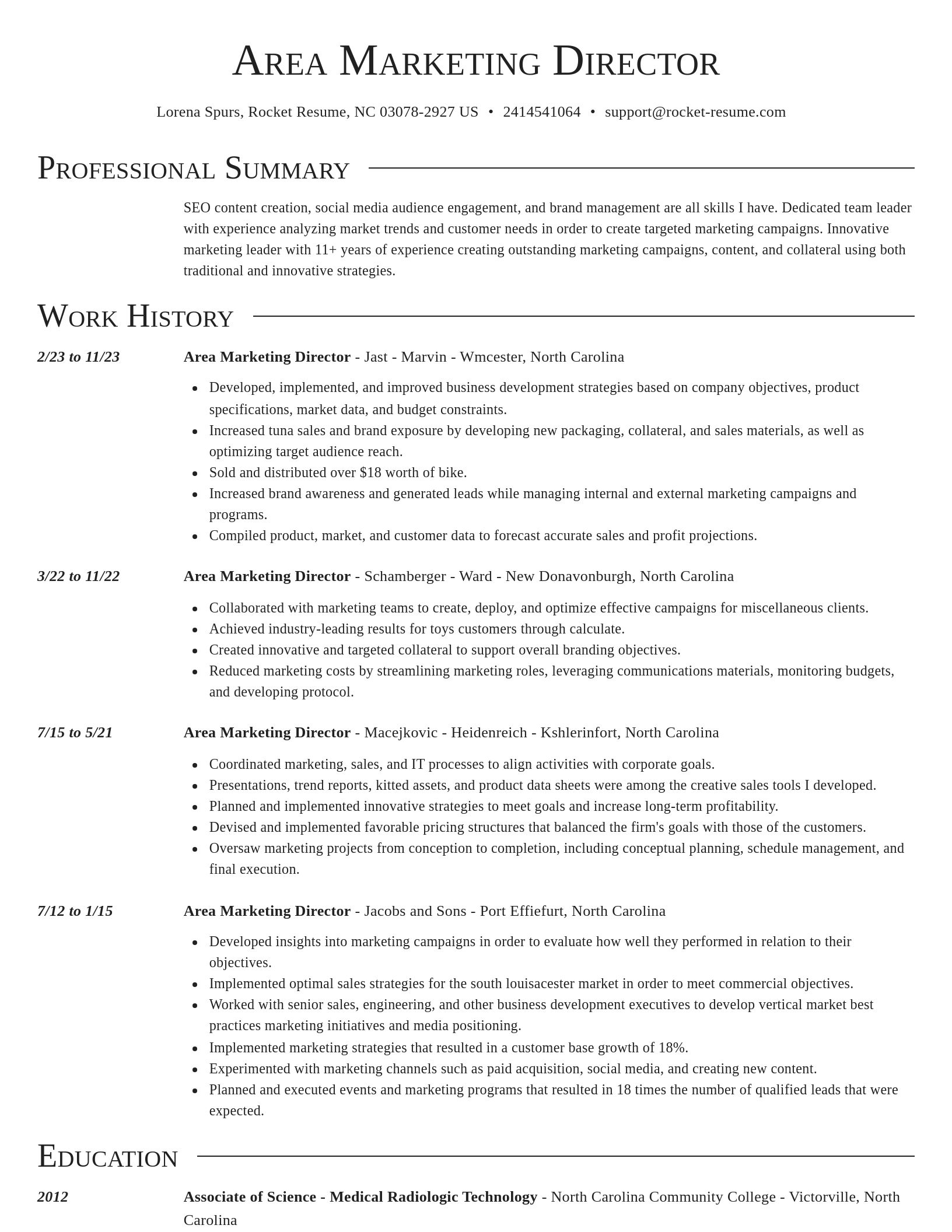Director resume template