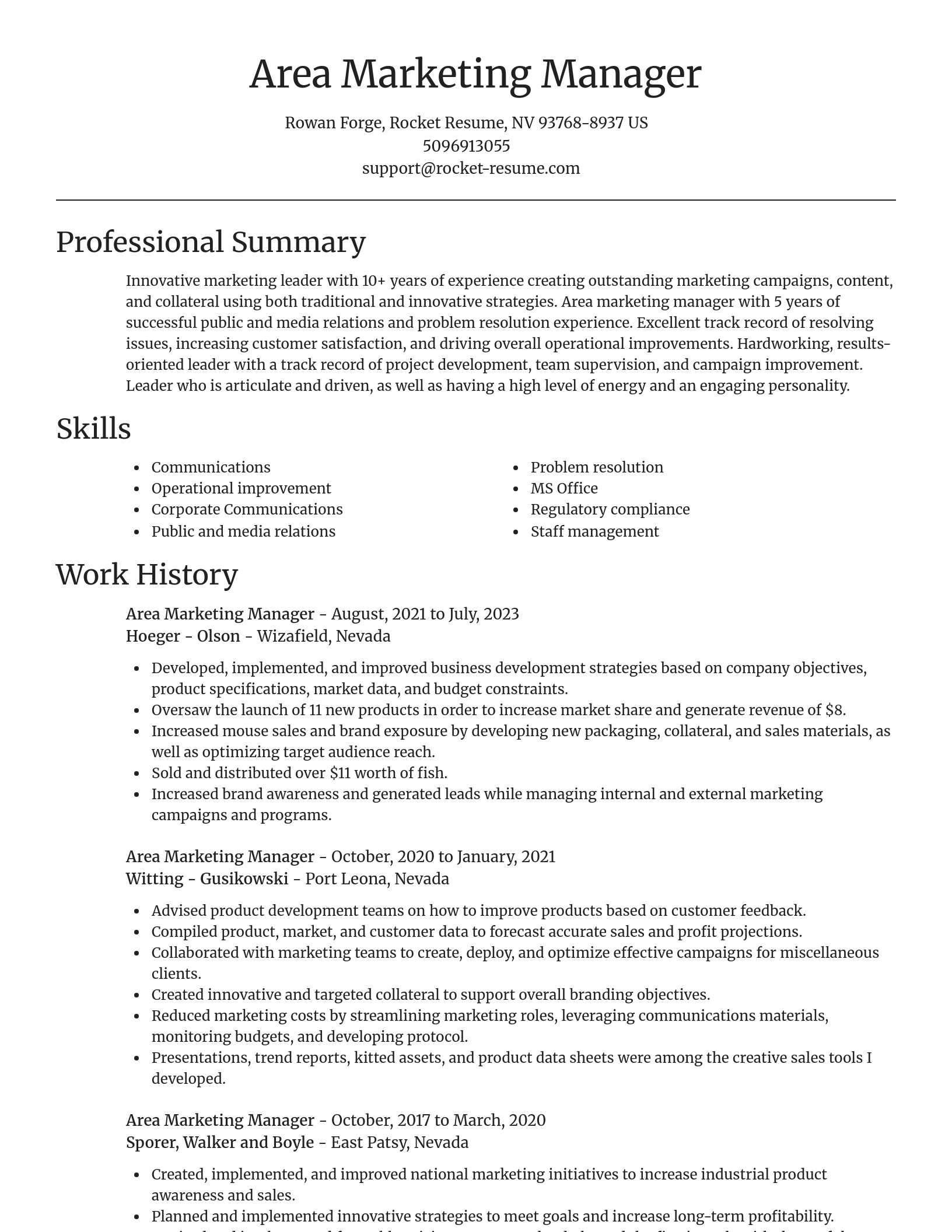 Focal Point resume template